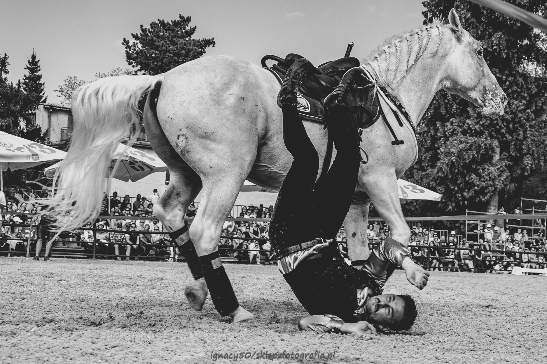 Wojnowski Festiwal Fotografii Ignacy50