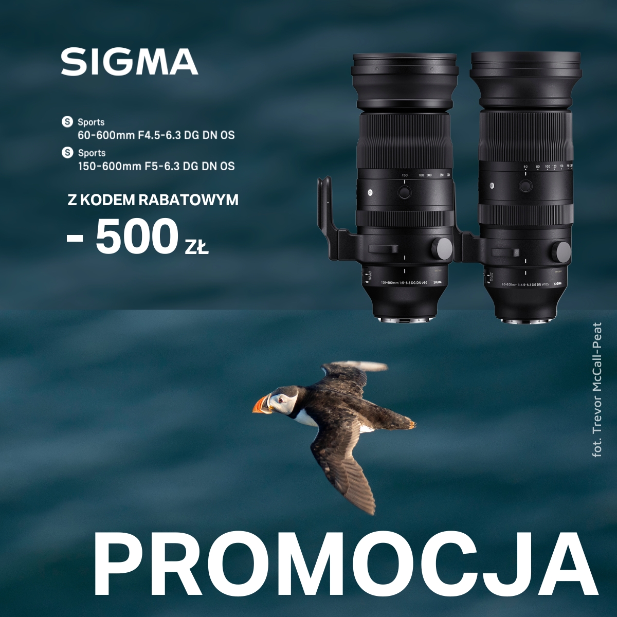 Sigma S 60 600mm