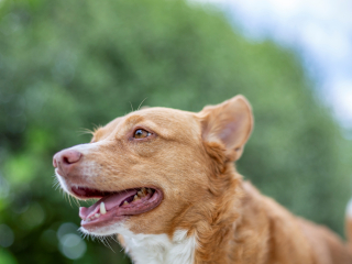 Batch Canon EF 50mm F1.4 USM G7a5536