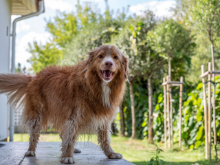 Batch Canon EF 50mm F1.4 USM G7a5606