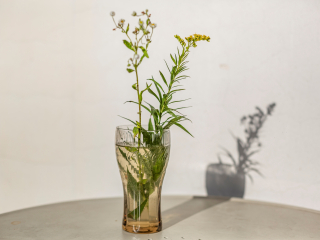 Batch Canon EF 50mm F1.4 USM G7a6197