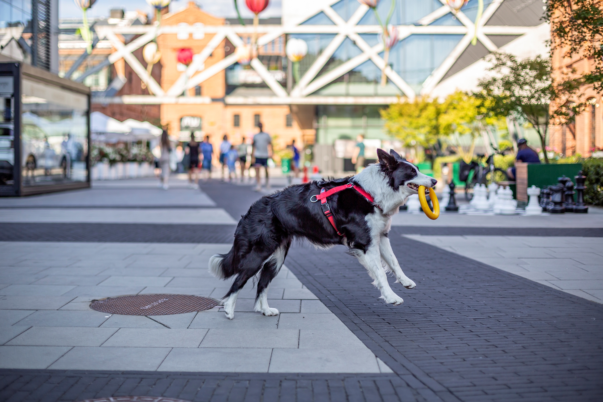 Canon EF 50mm F1.4 USM__g7a6826