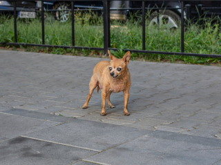 batch_Canon EF 50mm F1.4 USM__g7a6919