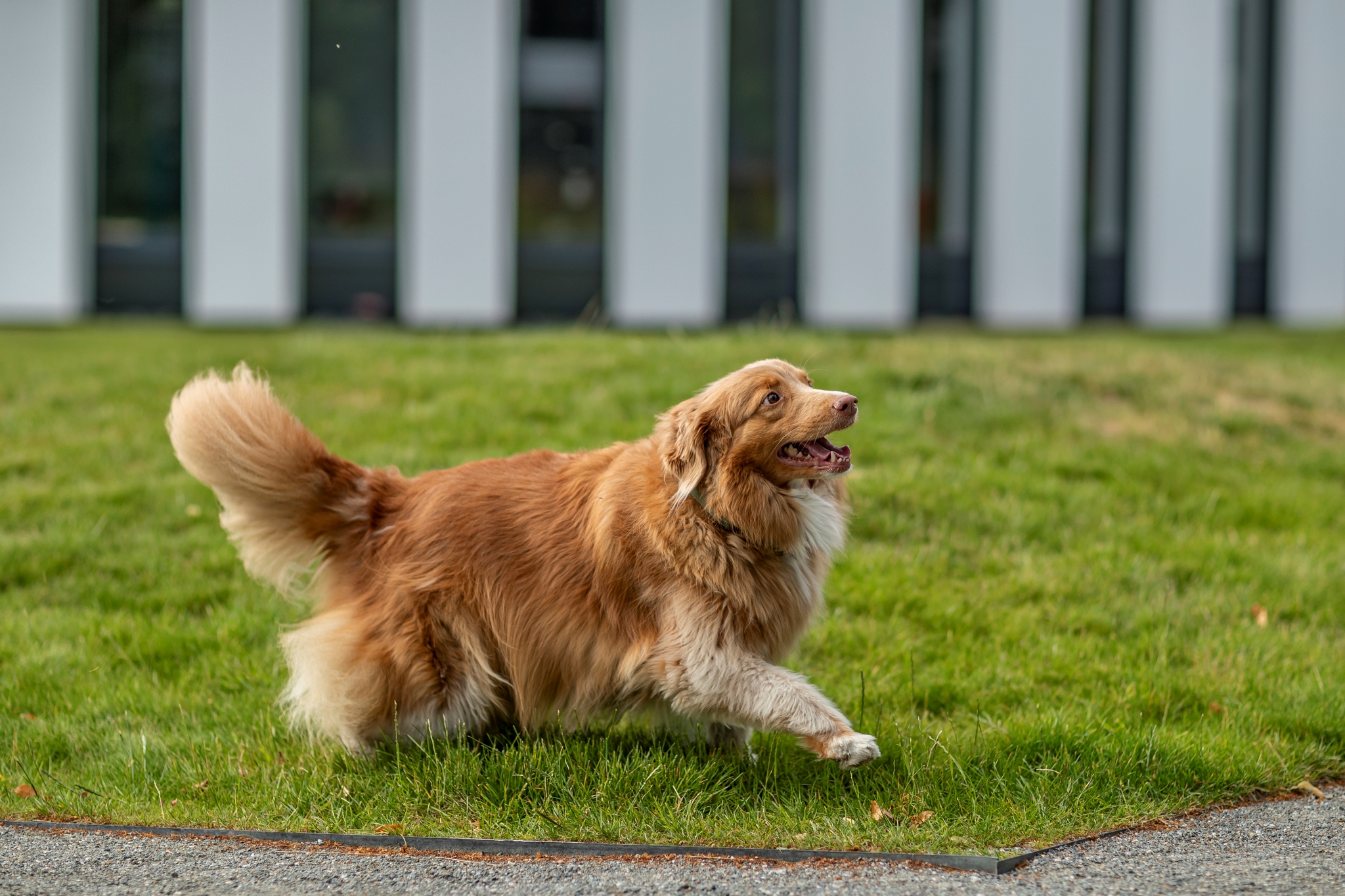 Canon EF 85mm__c2i8101