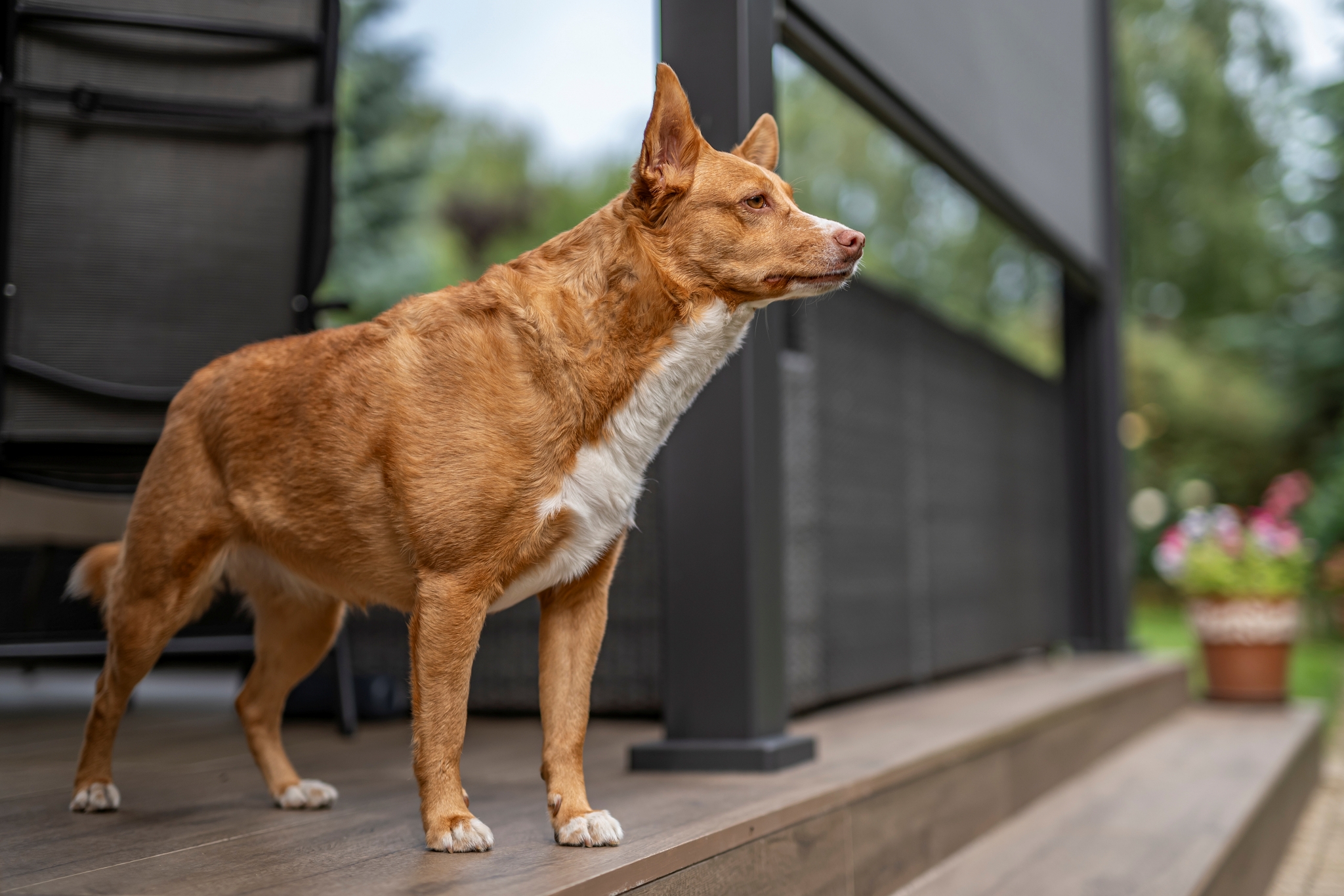 Sigma A 50mm F1.4 DG HSM Canon EOS 1D X Mark II Dsc5068