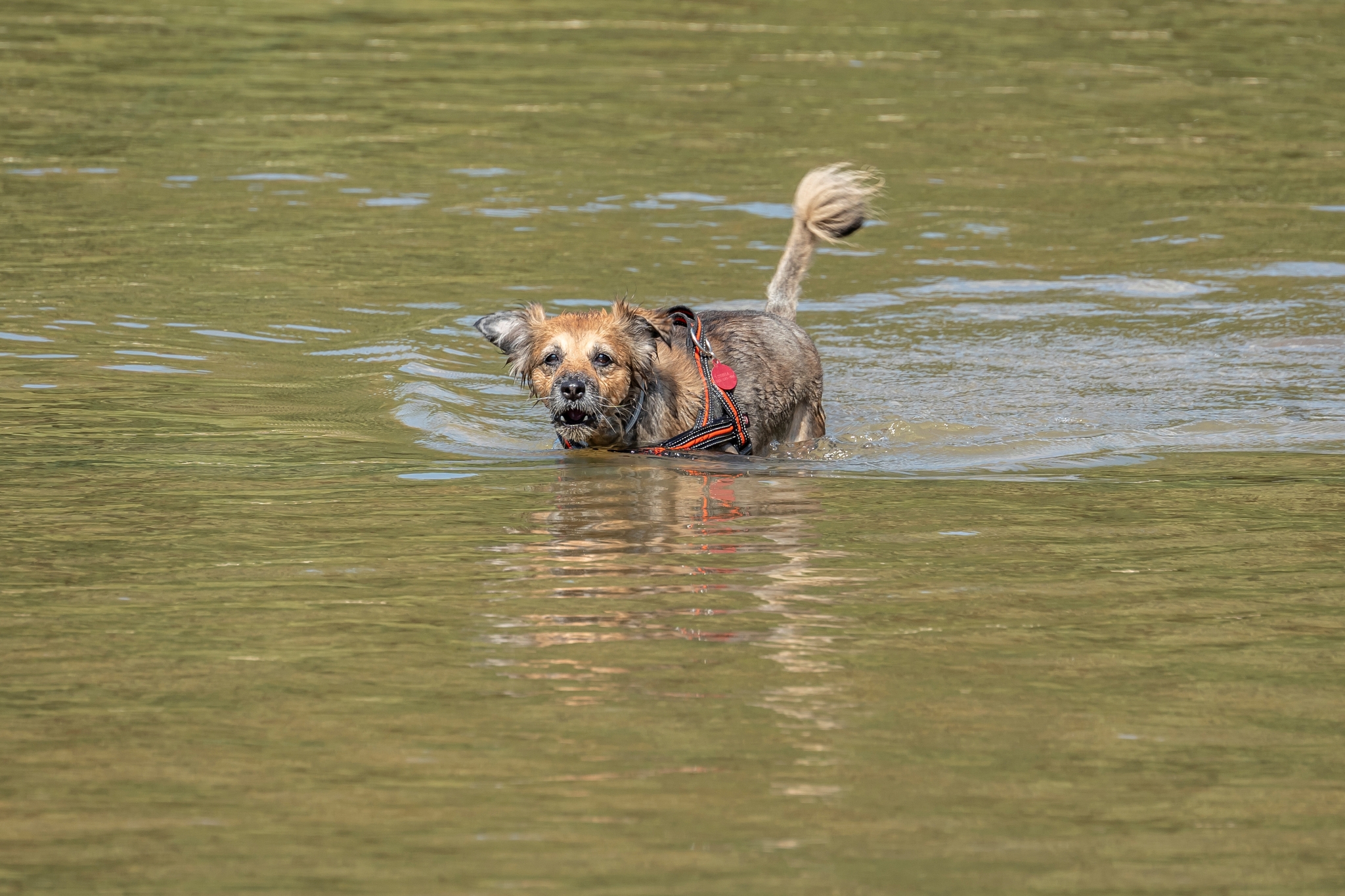 Tamron 50-300mm F4.5-6.3 Di III VC VXD Sony A7 IV_dsc02171