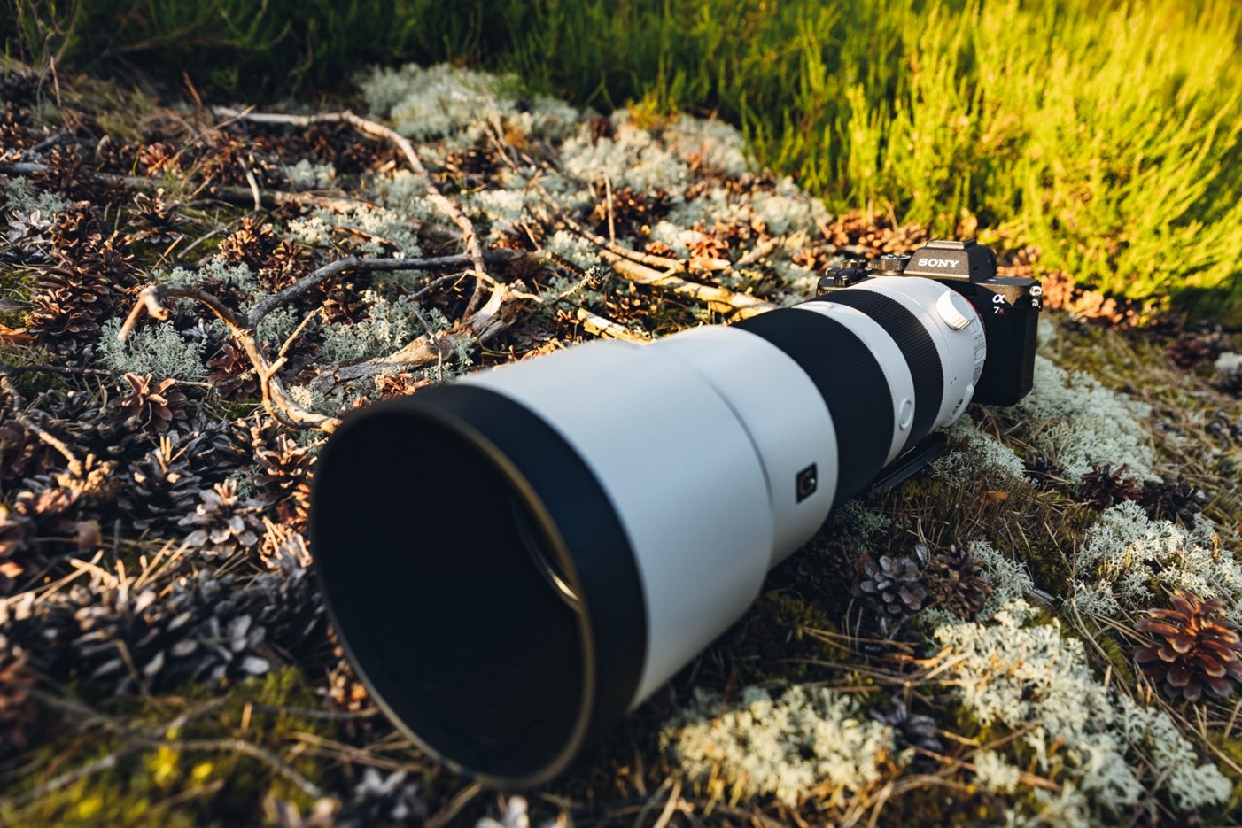 Sony A7R IV