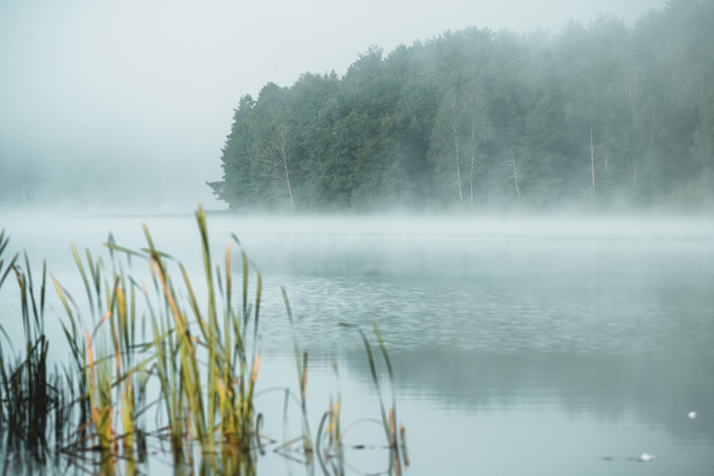 Sony A7R IV