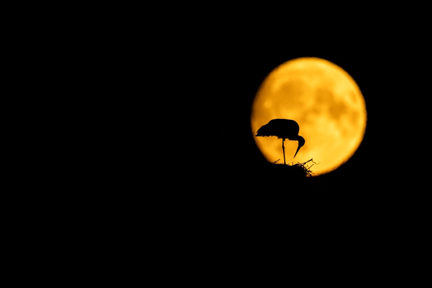 Sony A7R IV