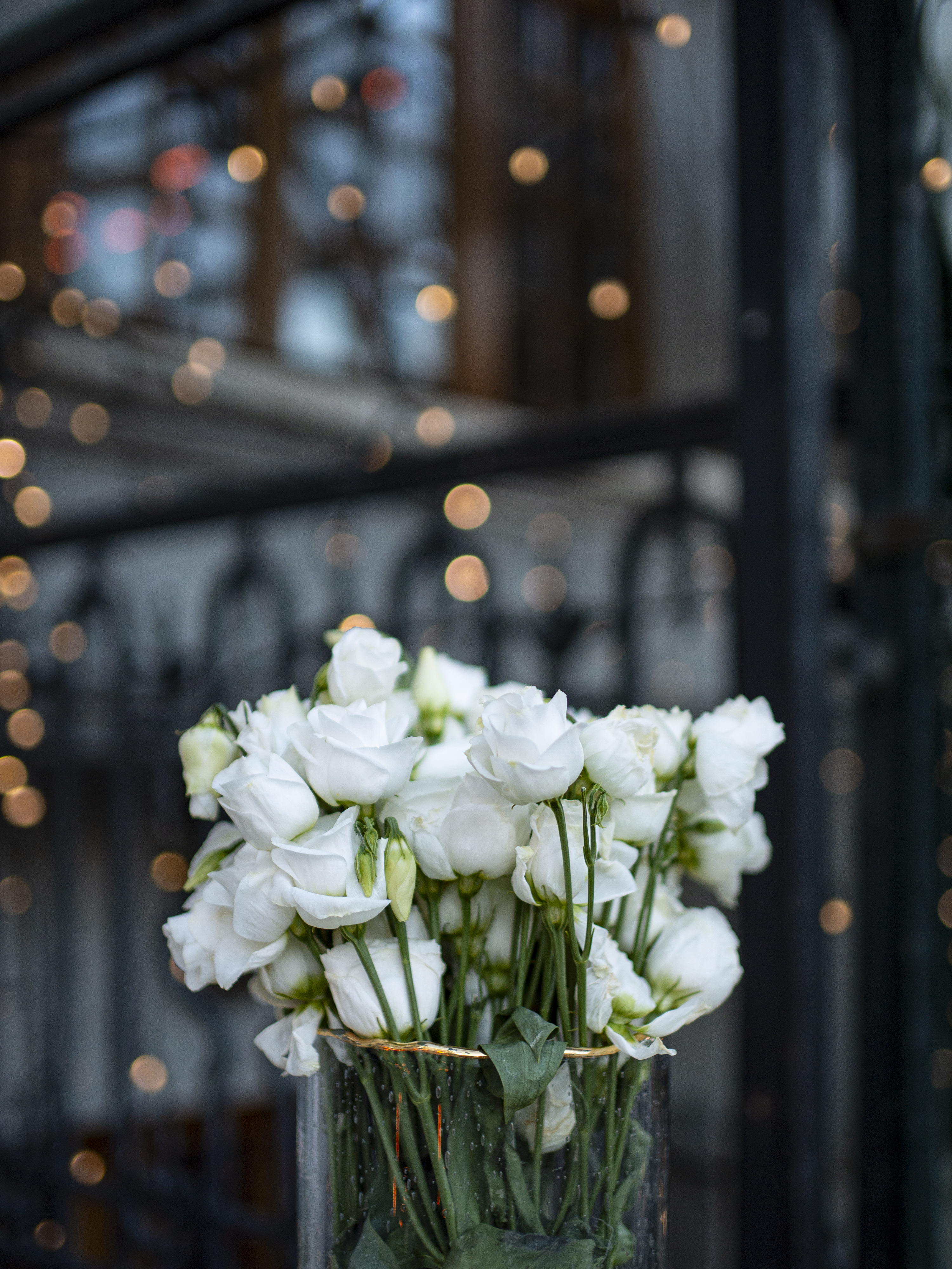 TTArtisan 23mm F1.4