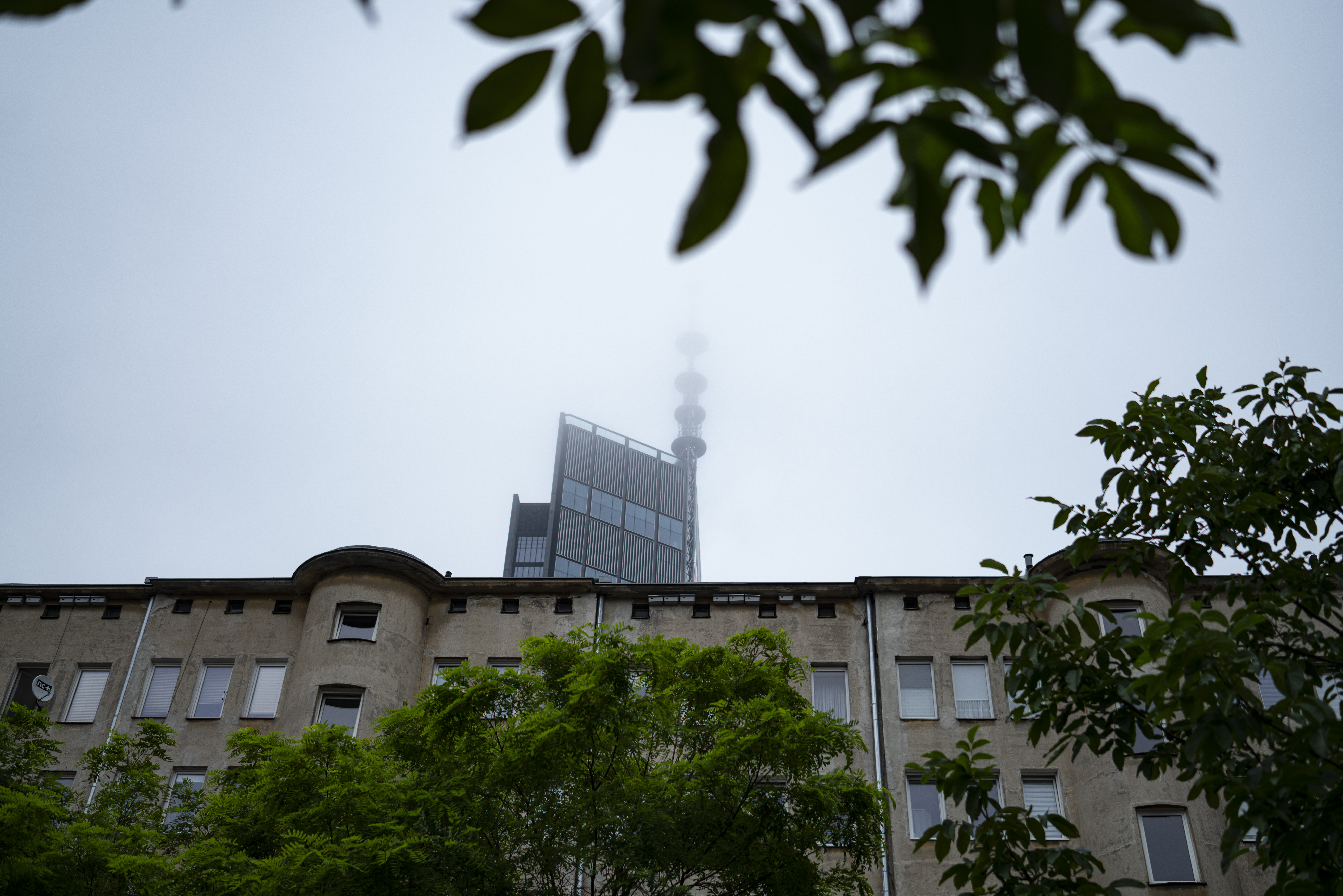 Zeiss Batis Distagon CF 40mm F2