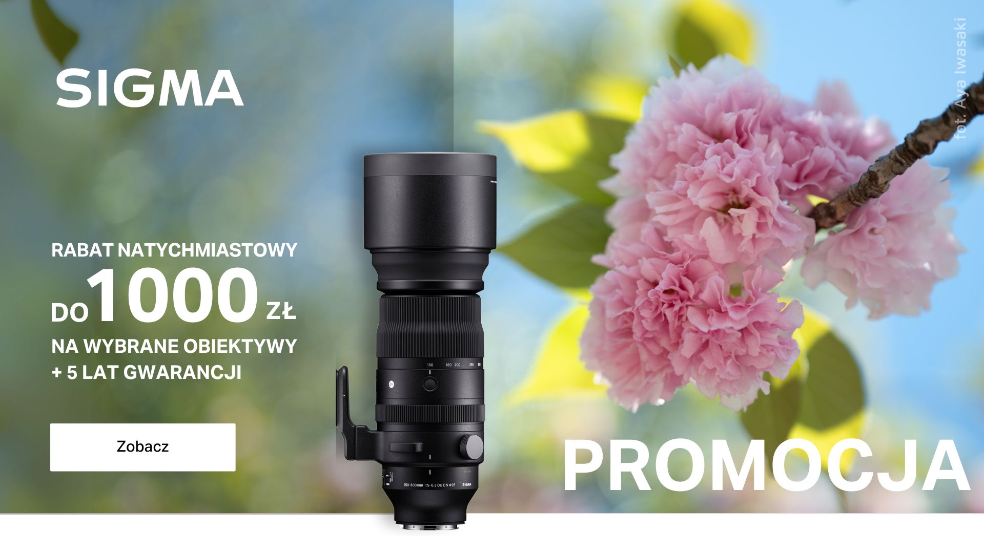 Wysyp promocji Sigma 8