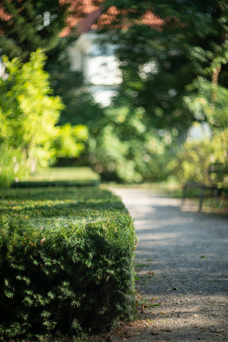 Nikon D800 i legendarny Biotar 75mm F1.5 Carl Zeiss Jena
