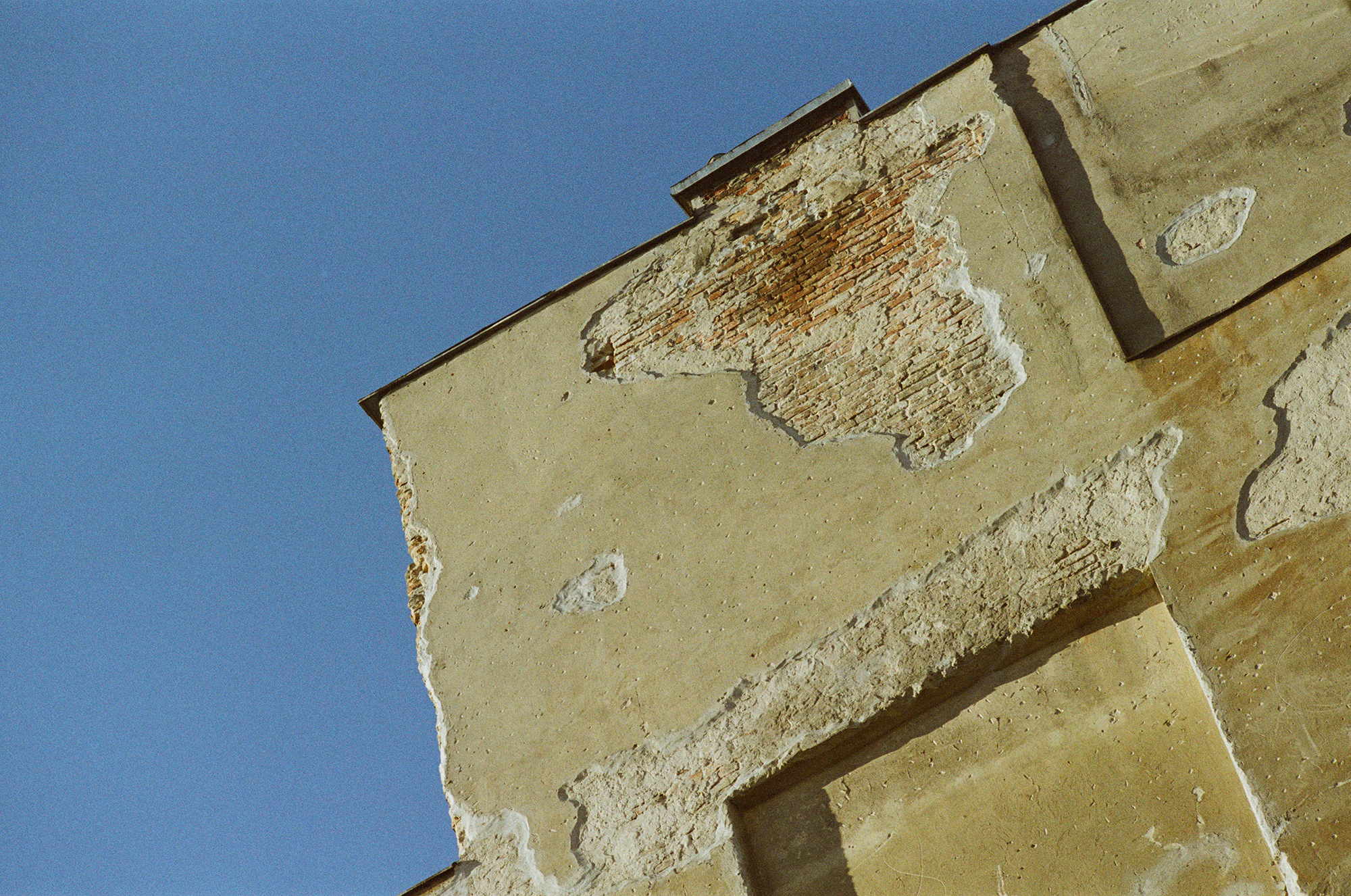 F3HP Gold 200 20lat Krowa (12)