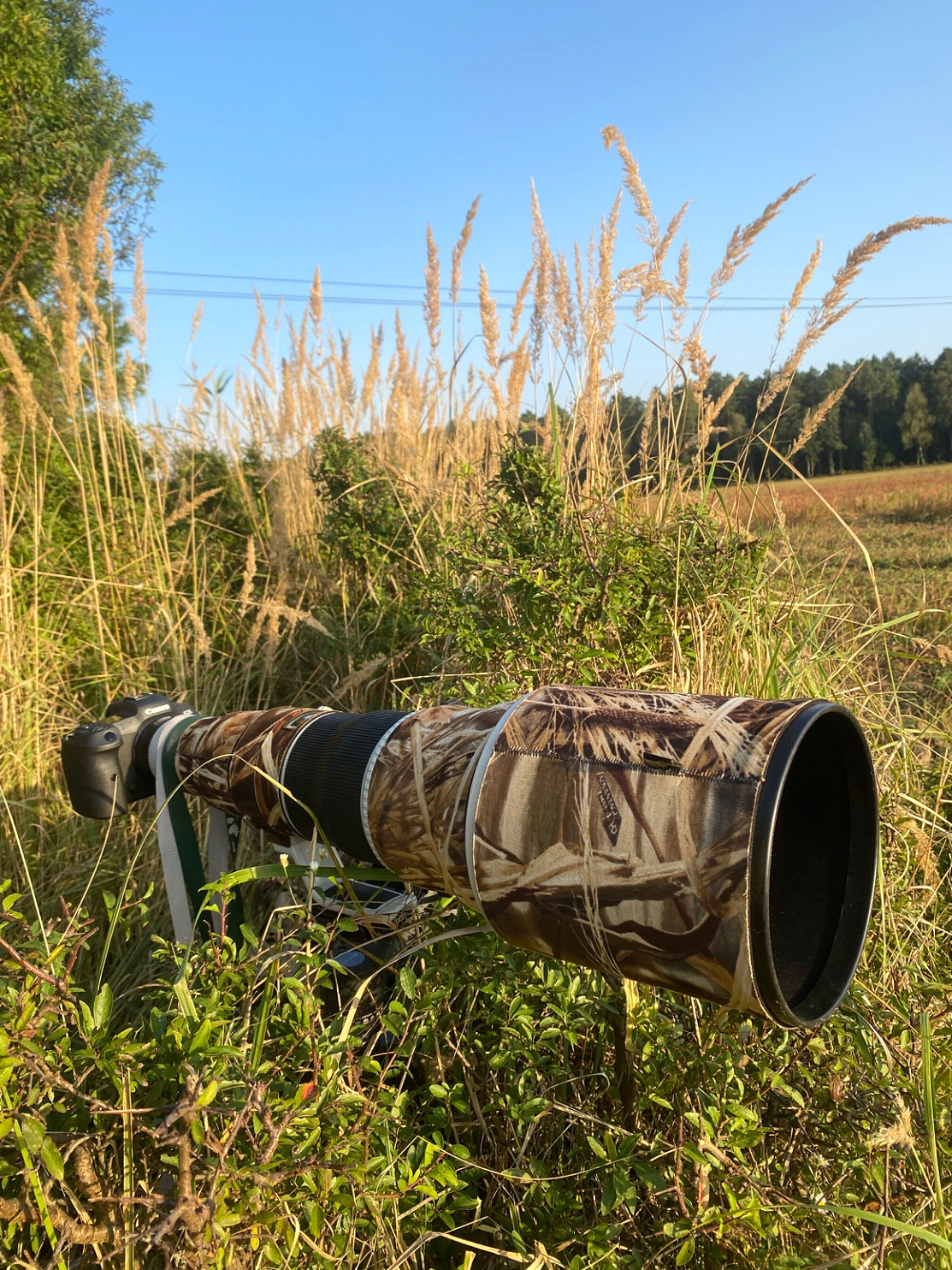 Canon EF 600mm F4 L IS II USM