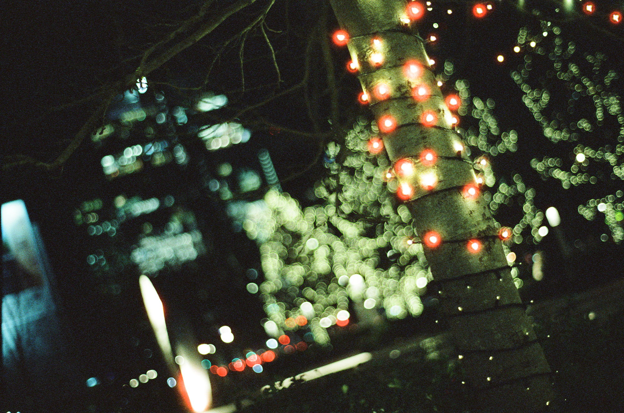 CineStill 800 Tungsten Xpro C-41