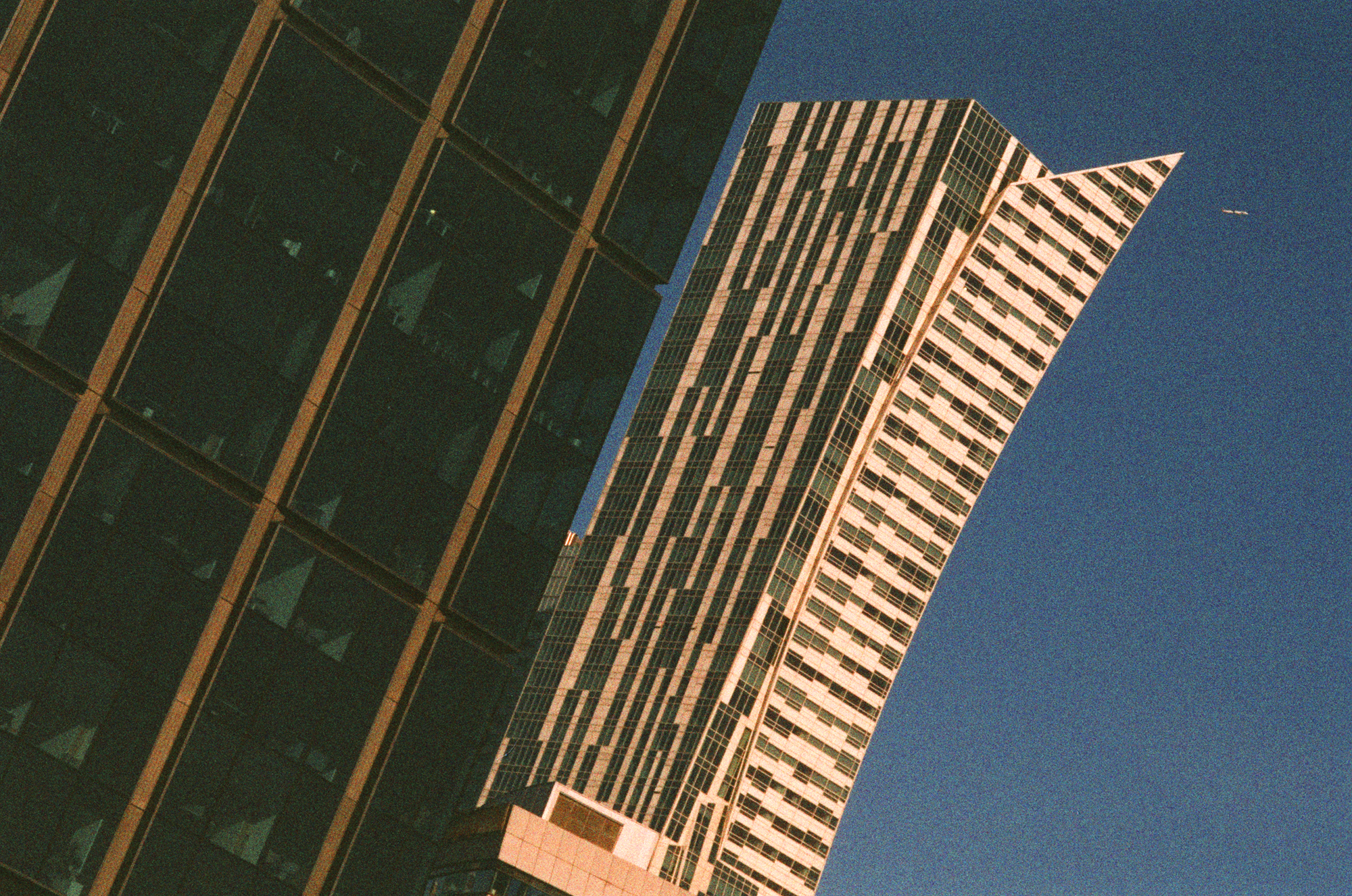 Nikon F5, Harman Phoenix 200