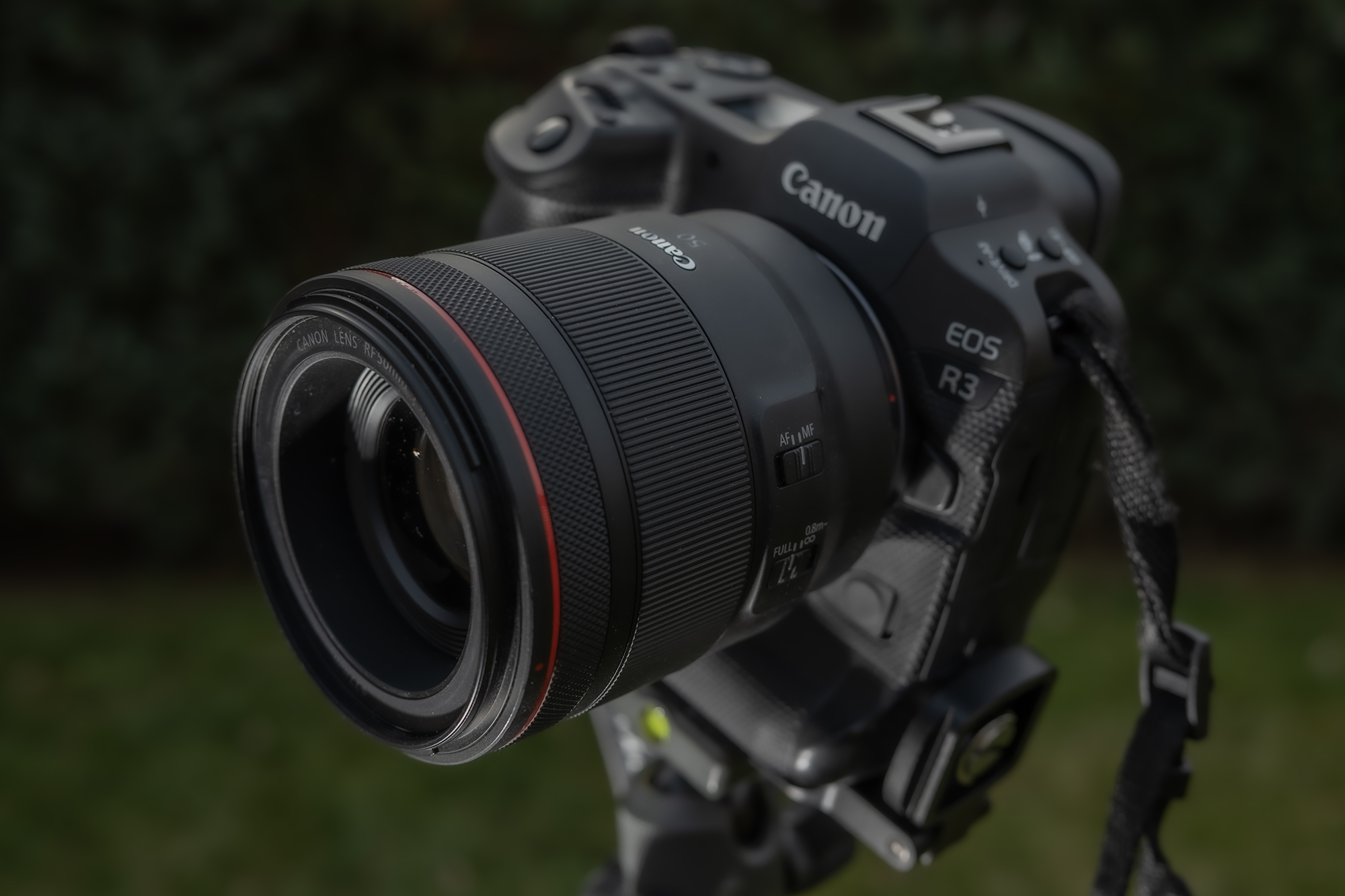 Canon RF 50mm F1.2 L USM Canon EOS R3 DSC3937