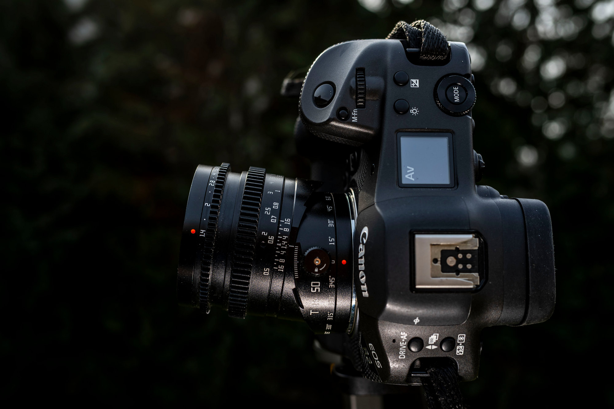 TTArtisan 50mm F1.4 Tilt Dsc3948