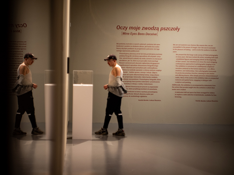 Wystawa „Oczy moje zwodzą pszczoły”