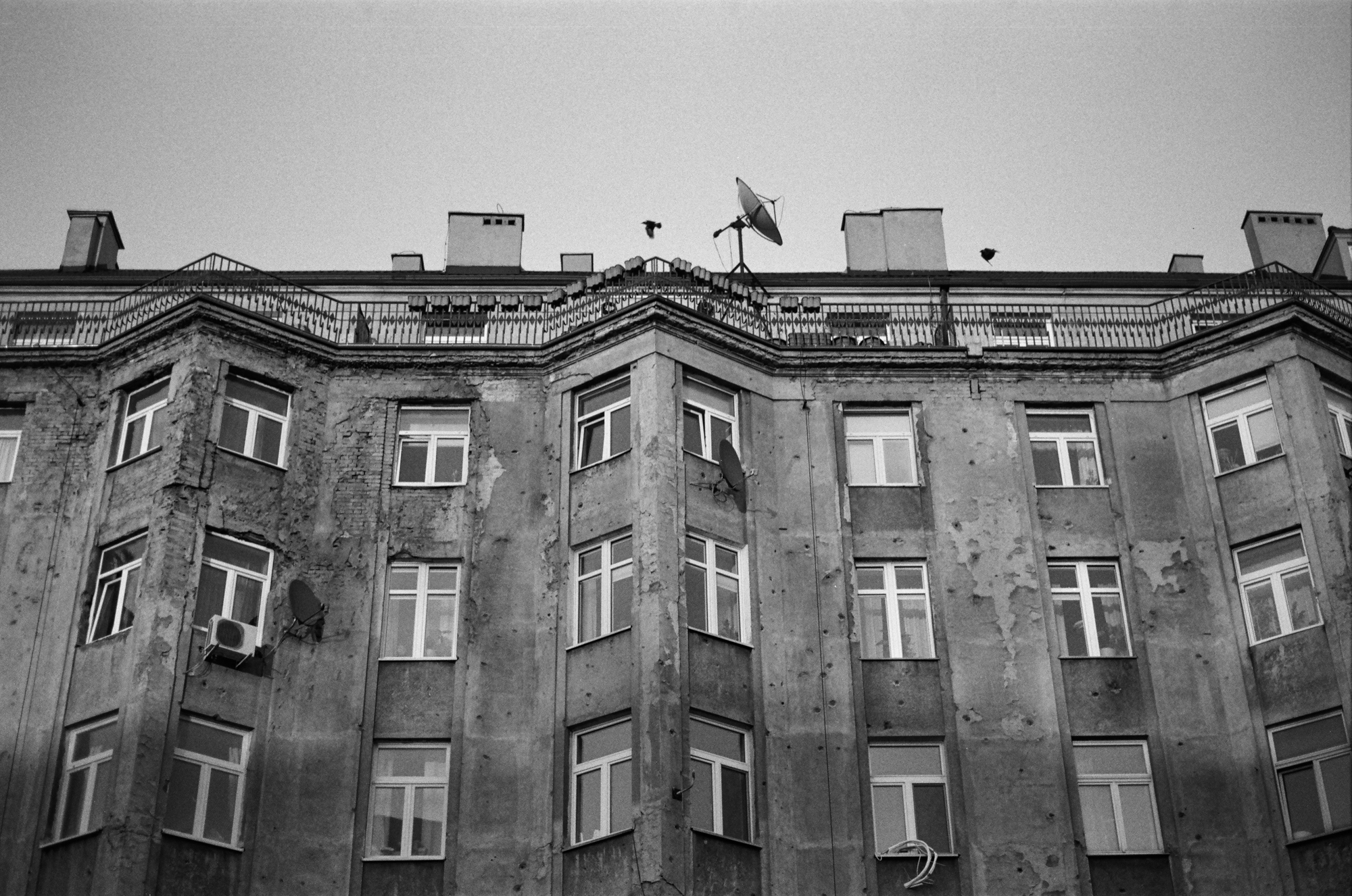 Zeiss Ikon ZM 000104070022