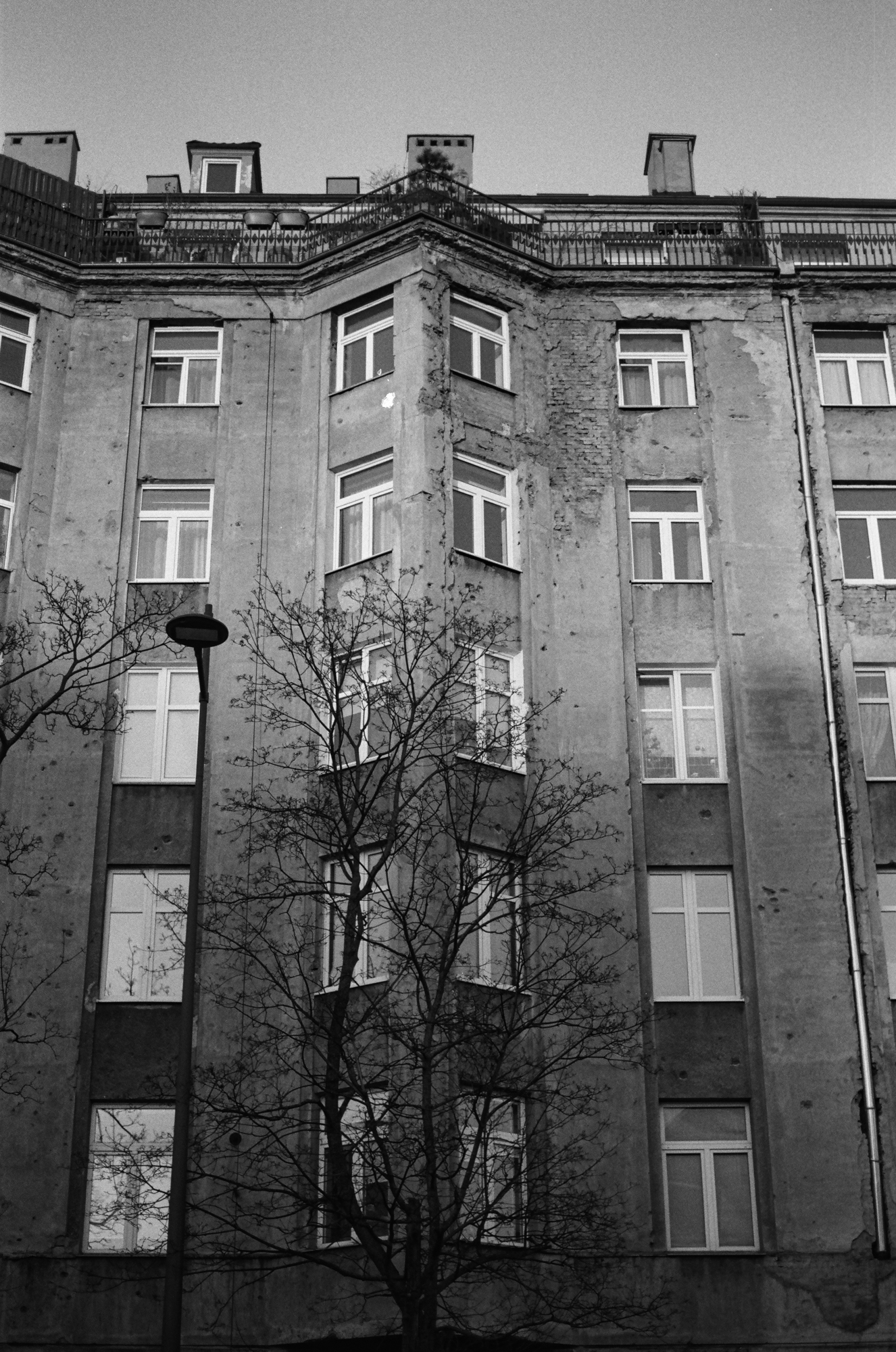 Zeiss Ikon ZM 000104070036