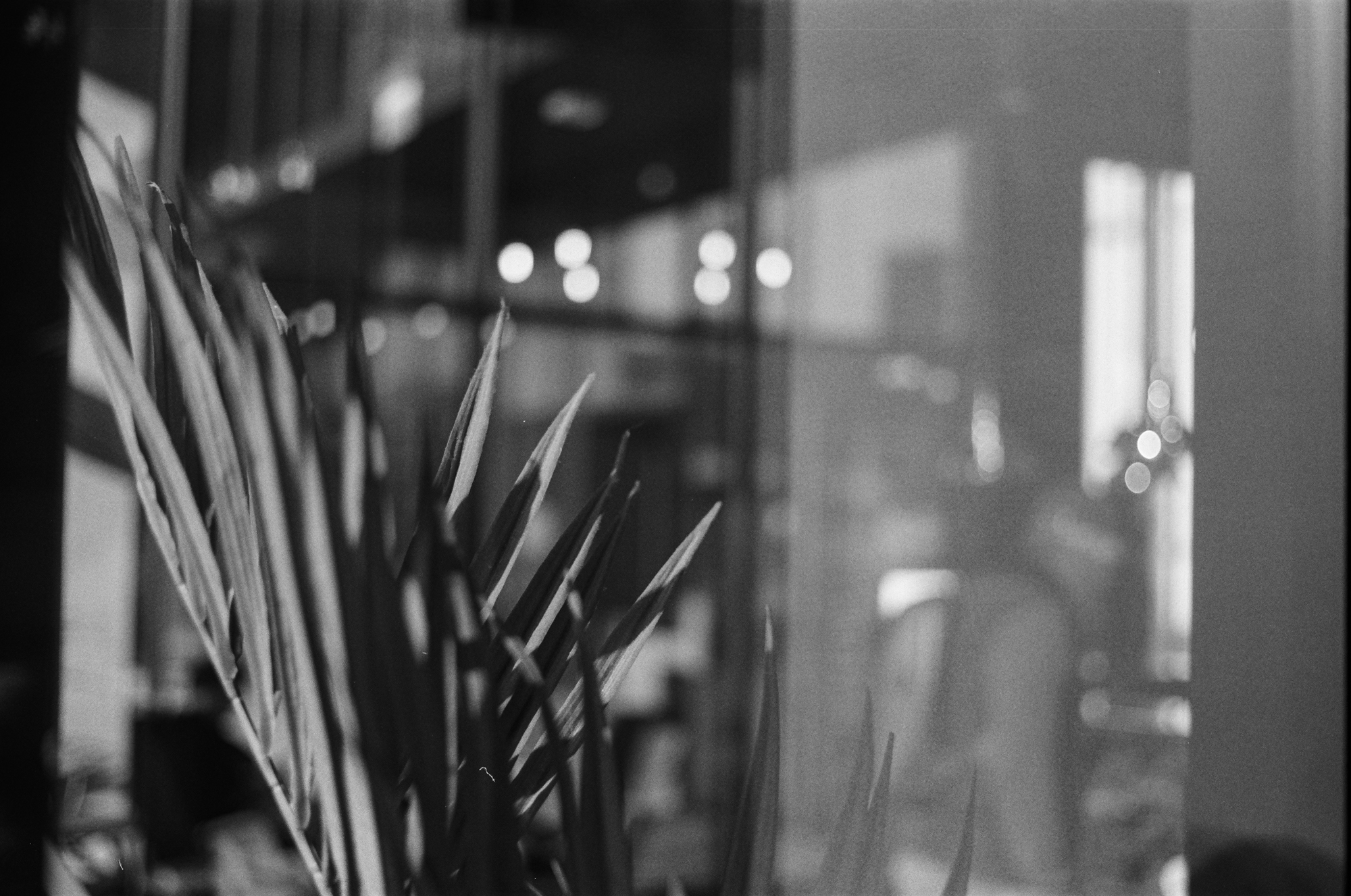 Zeiss Ikon ZM 000104070036