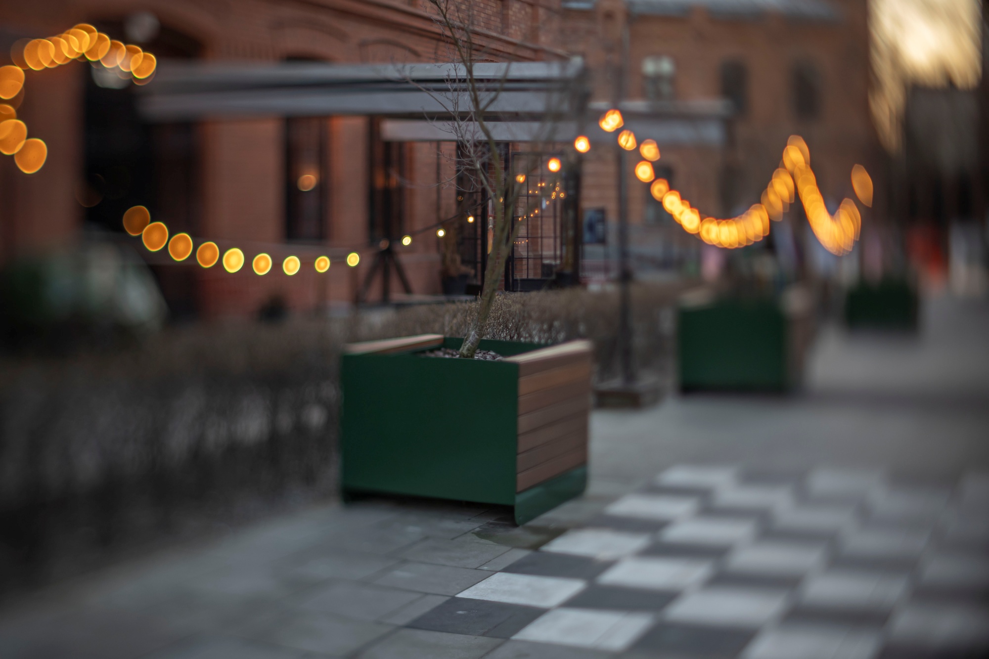 TTArtisan 50mm F1.4 Tilt0i9a0238