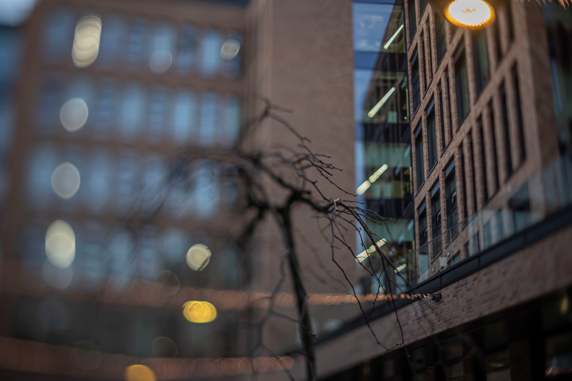 TTArtisan 50mm F1.4 Tilt0i9a0270