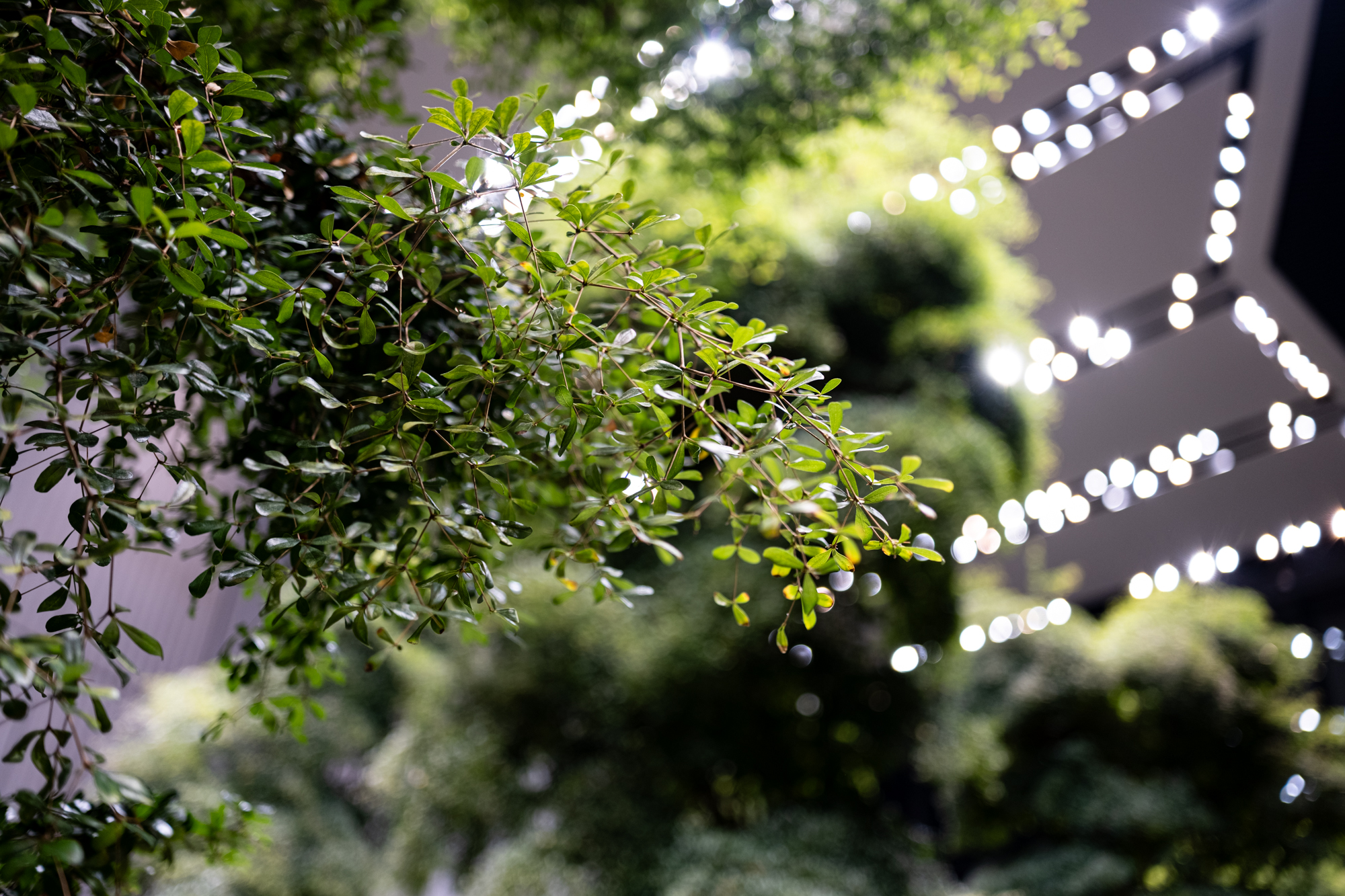 FujiFilm XF 23mm F1.4 R LM WR Fujinon