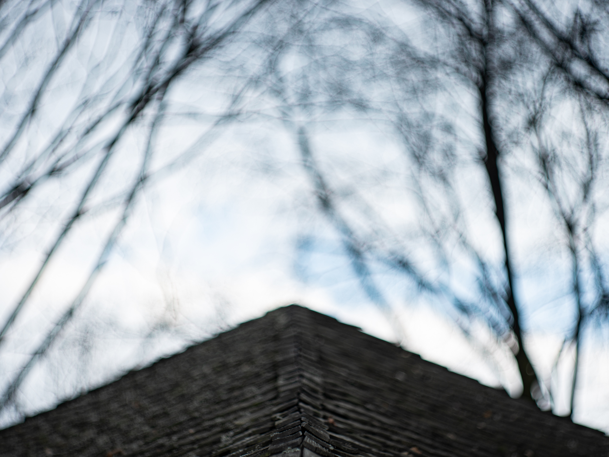 Pentax 645Z 8177