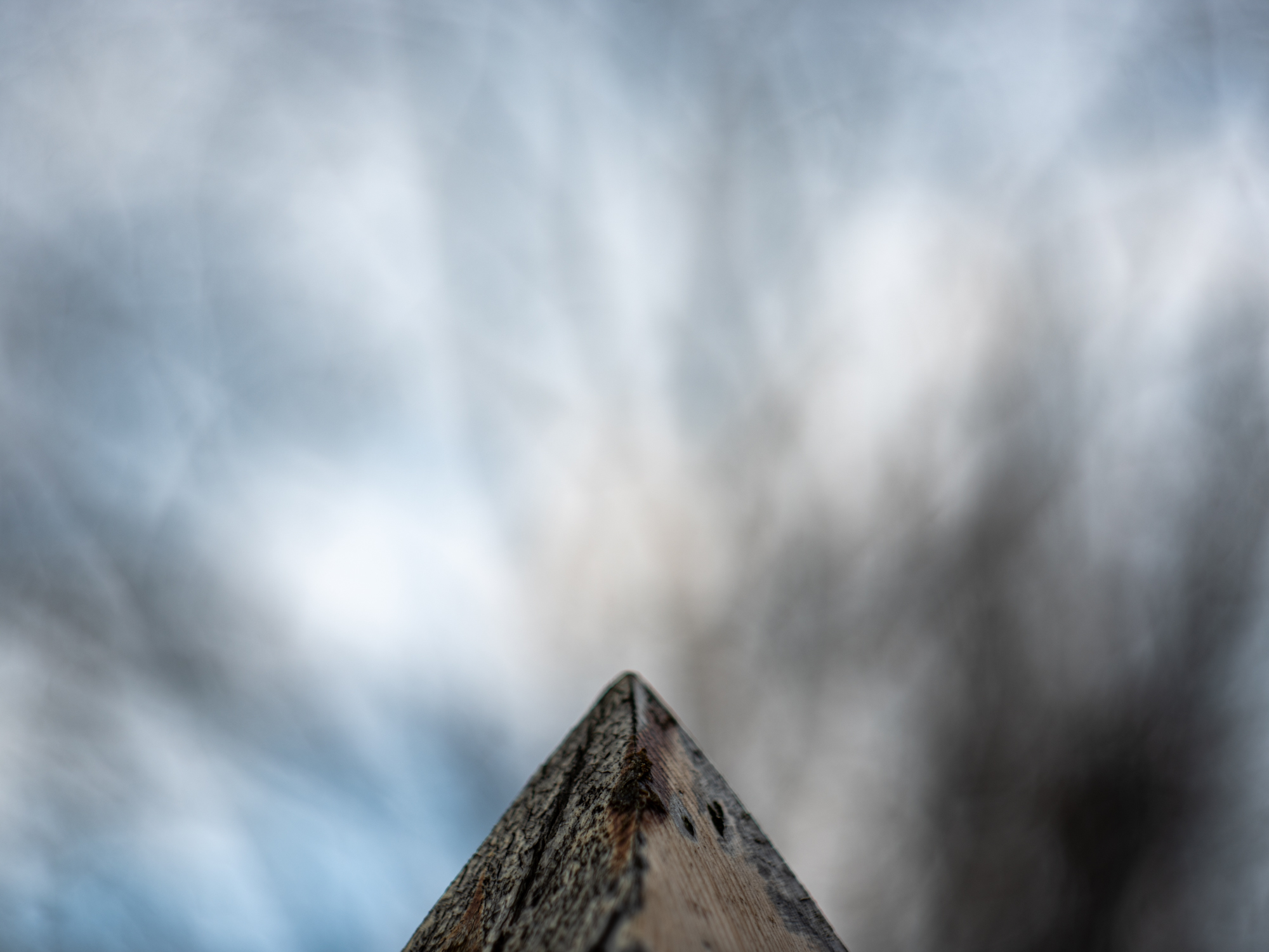 Pentax 645Z 8177