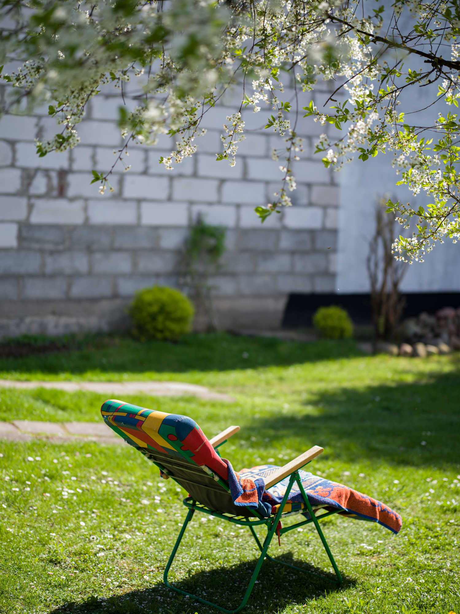 Hasselblad XCD 80mm f1.9
