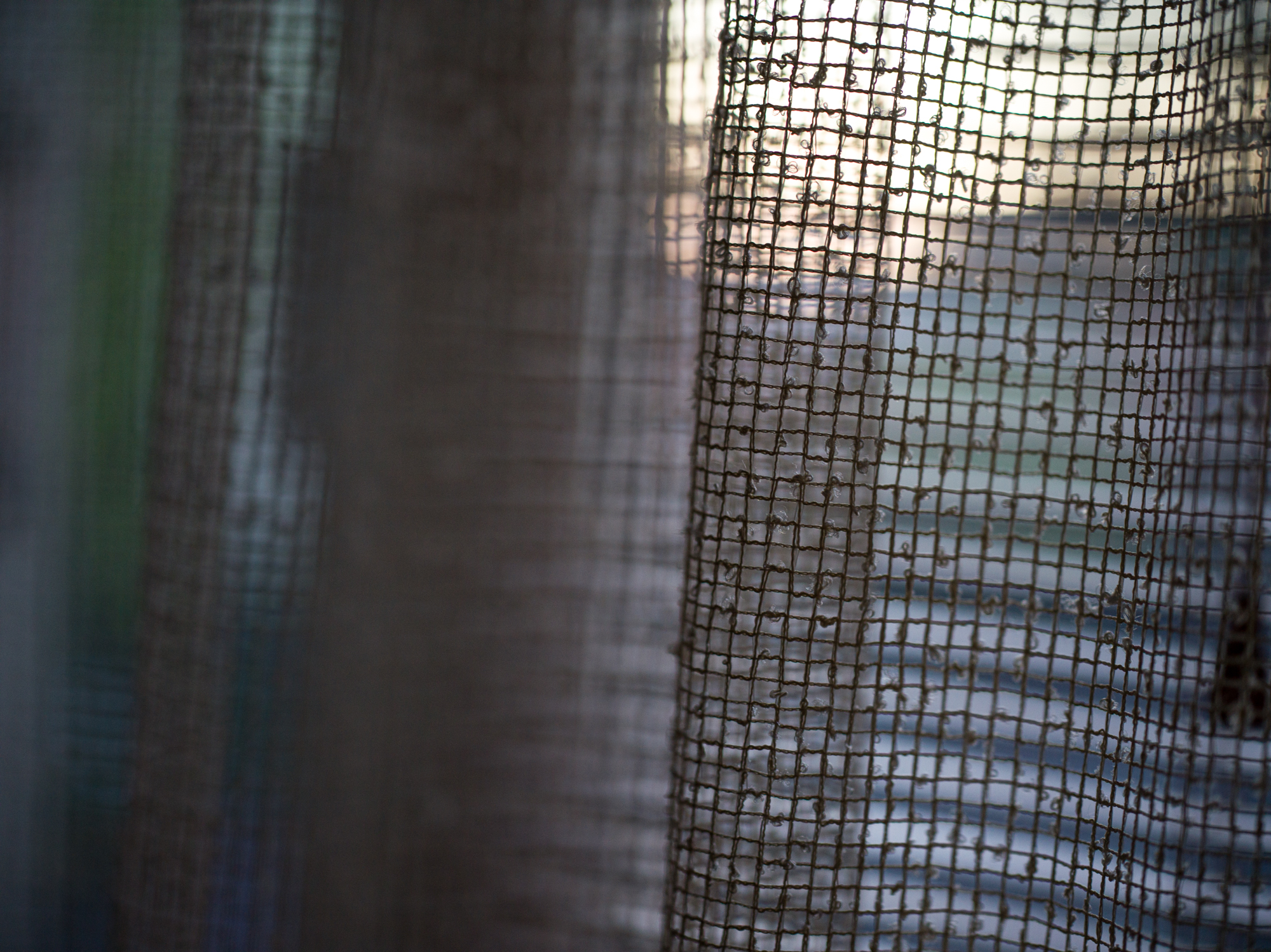 Hasselblad XCD 80mm f1.9