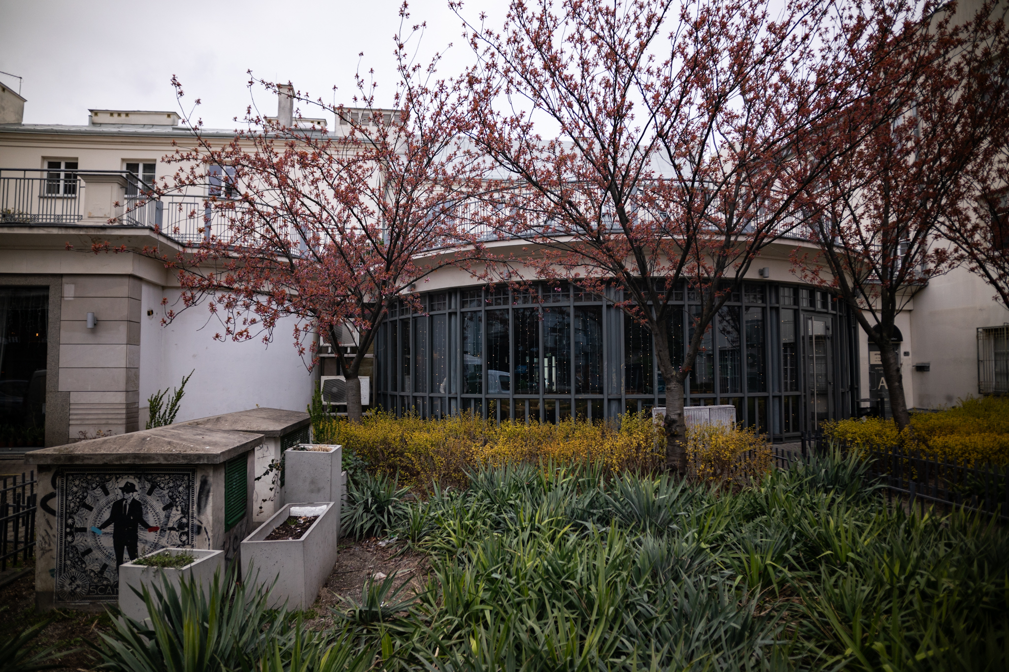 21mm F2.8 Samyang Remaster Slim