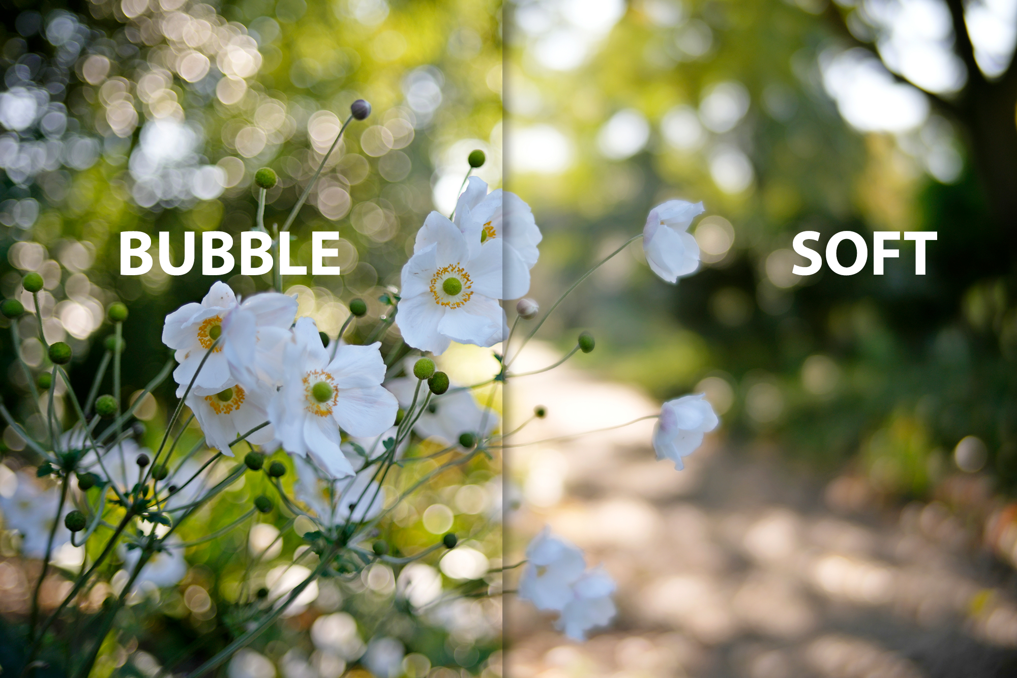 Jeden obiektyw Bubble i Soft Bokeh - TTArtisan 35mm T2.1 Cine Soft-Bubble - świetny do zdjęć, nie tylko do filmu!