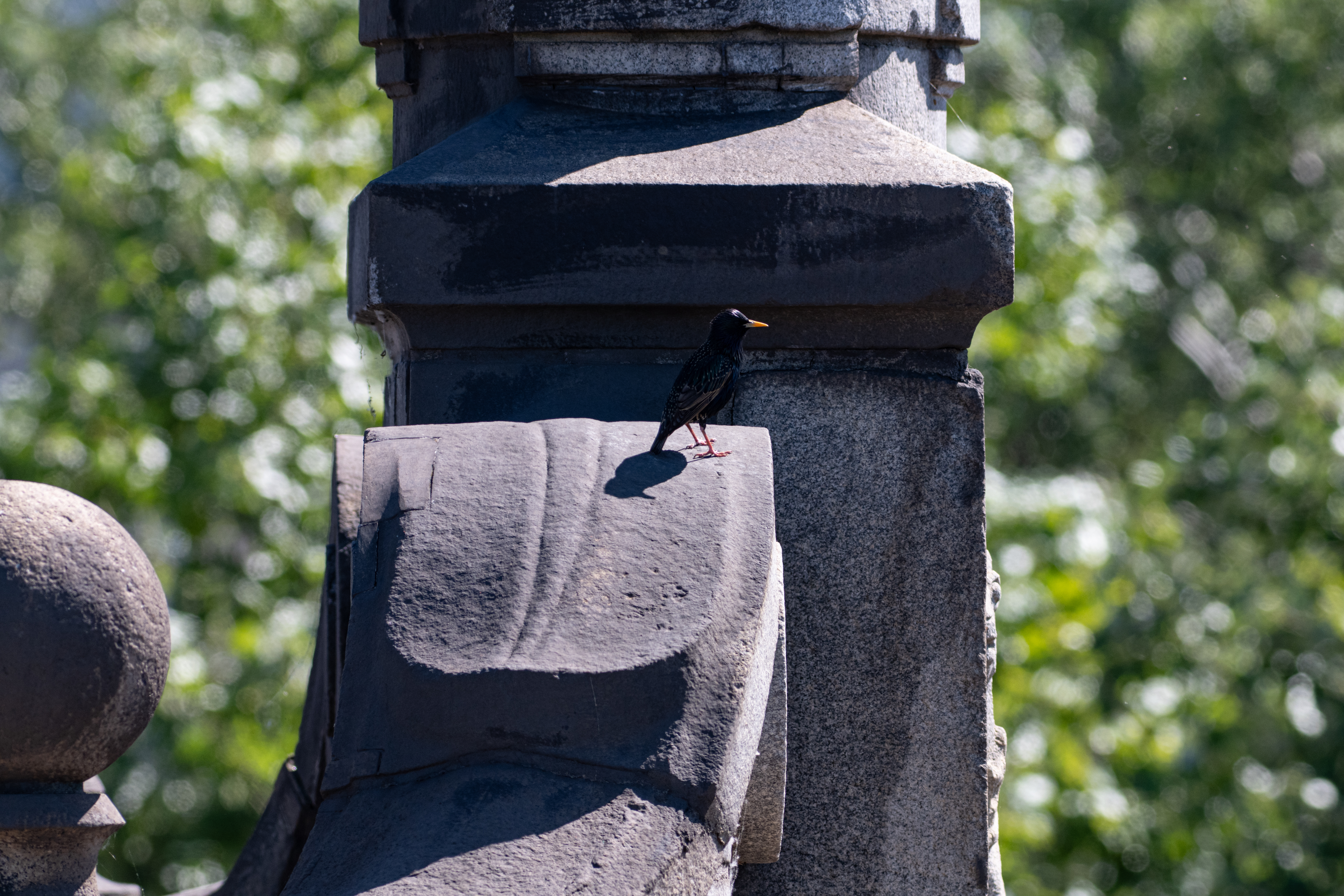 TTArtisan 500mm F6.3 ED