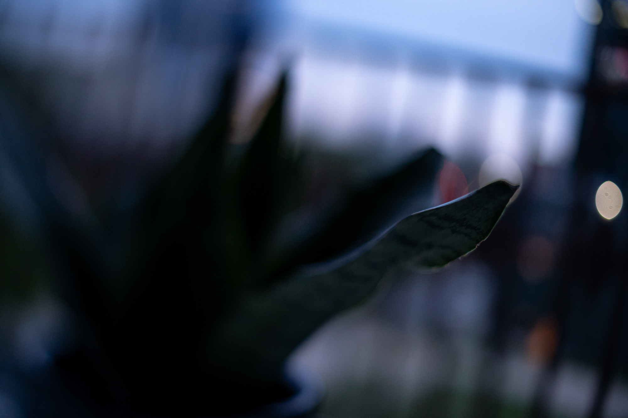 TTArtisan Tilt 35mm F1.4 APS-C