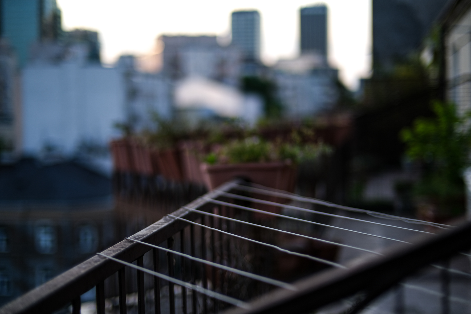 Voigtlander 50mm F1.2 Nokton