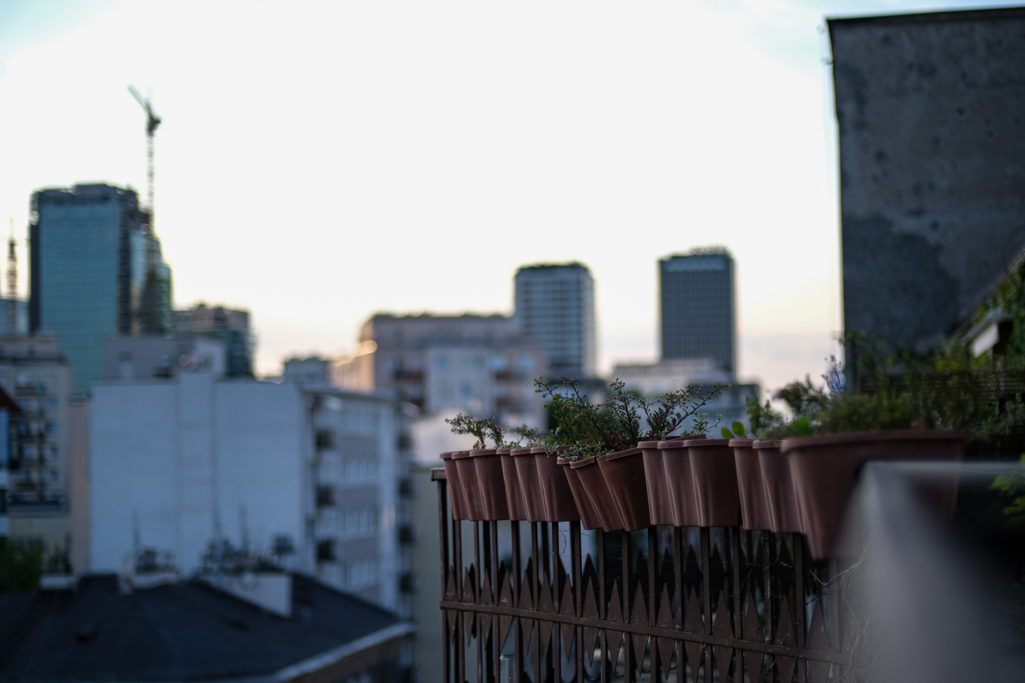 Voigtlander 50mm F1.2 Nokton