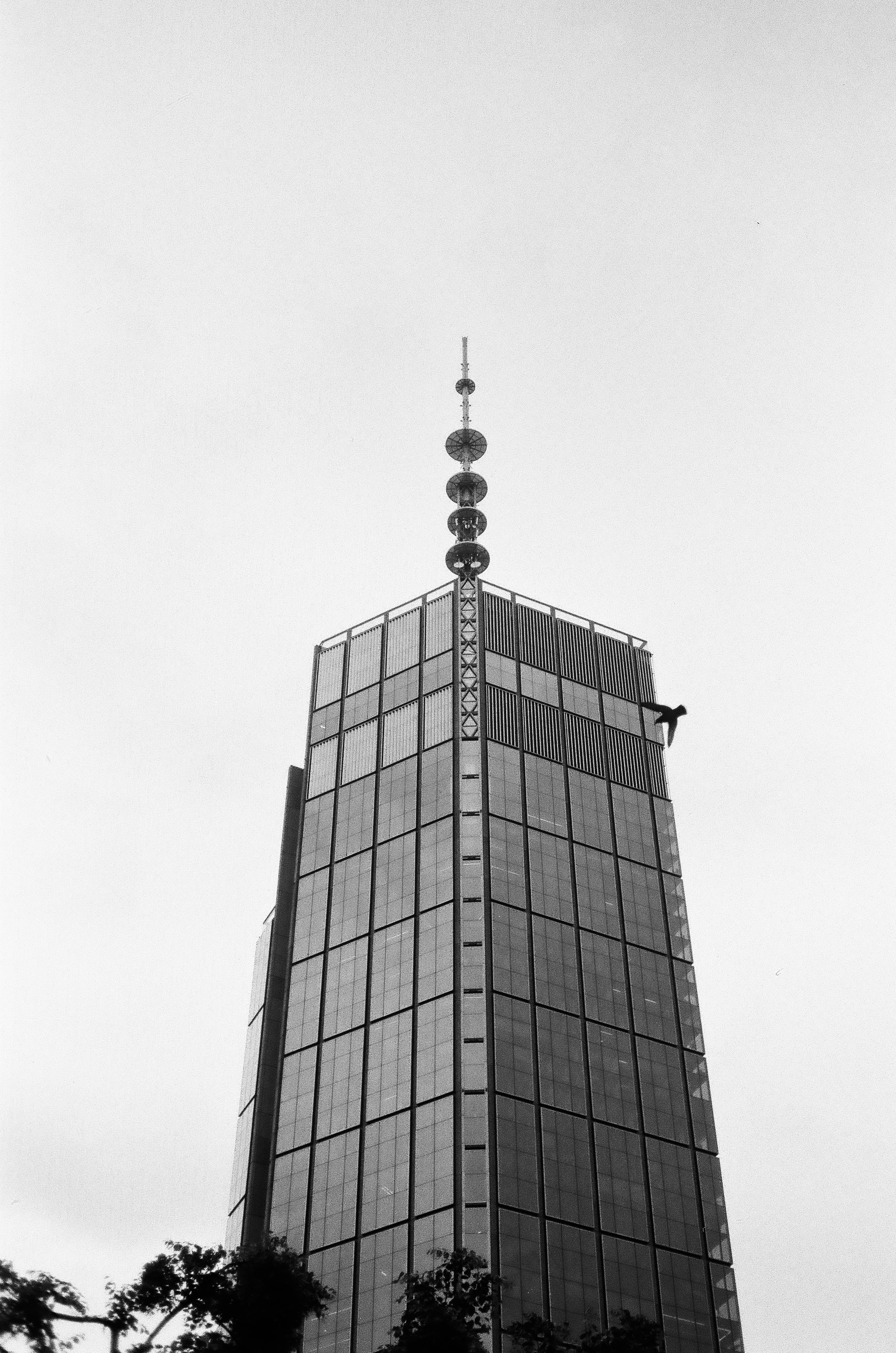 Rollei 35 SE