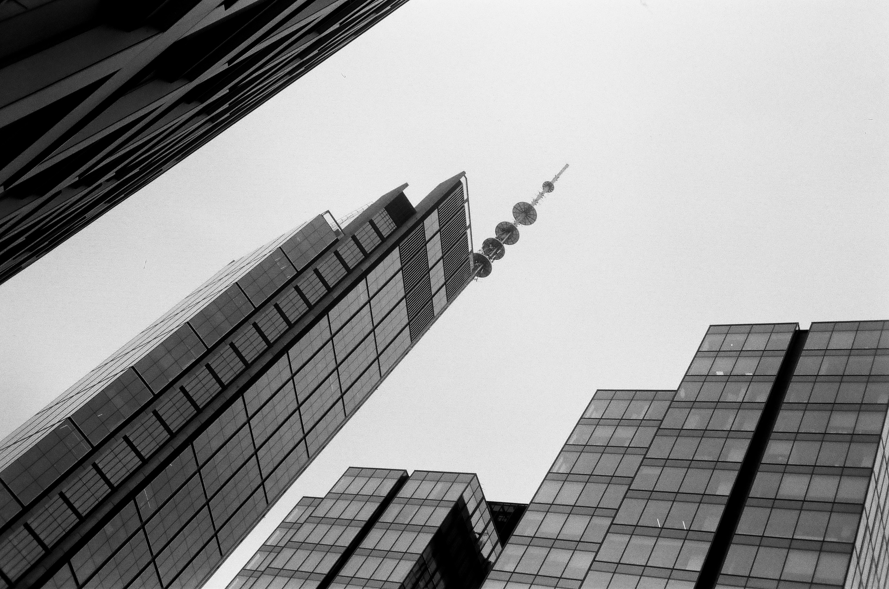 Rollei 35 SE