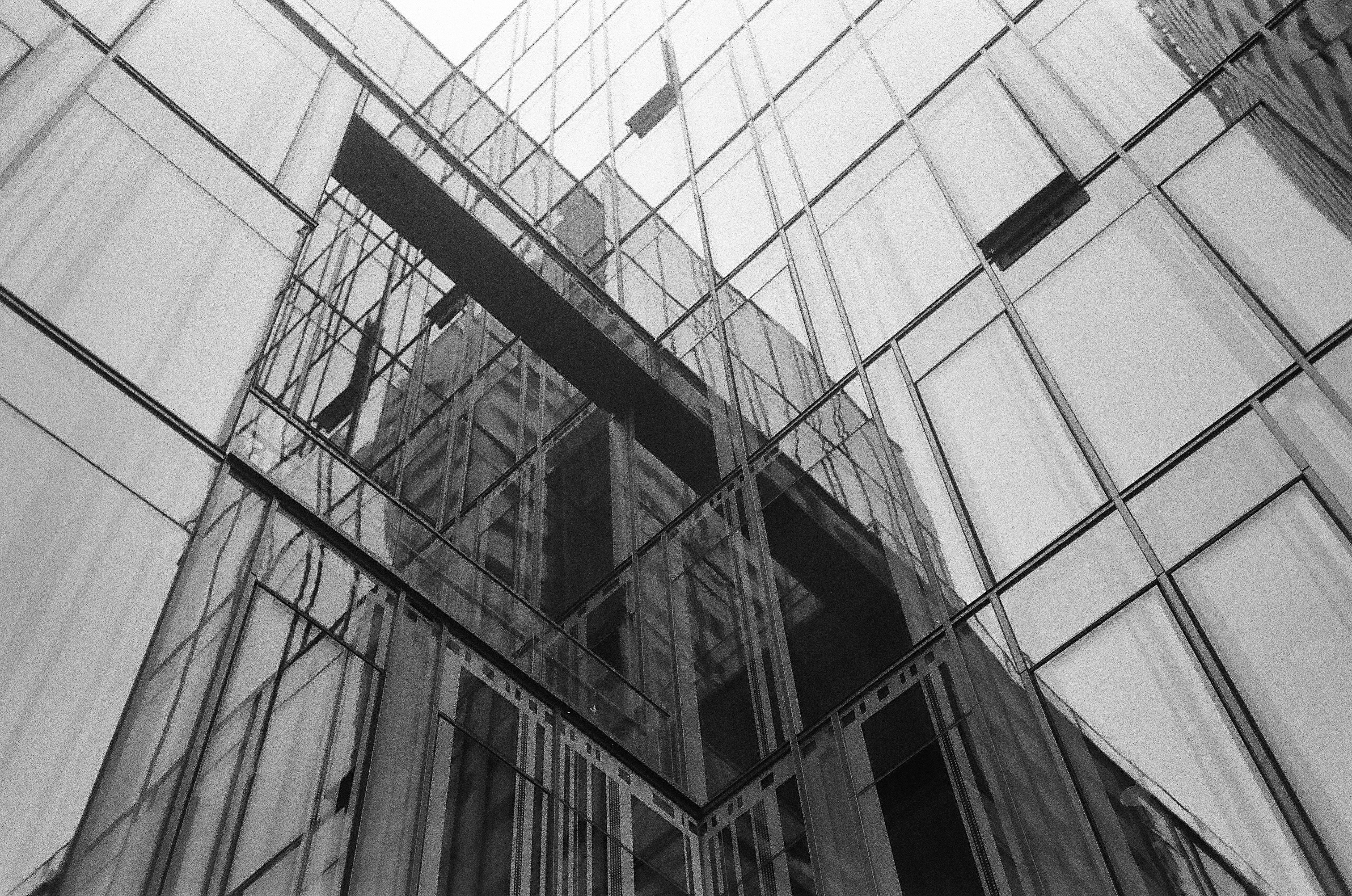 Rollei 35 SE