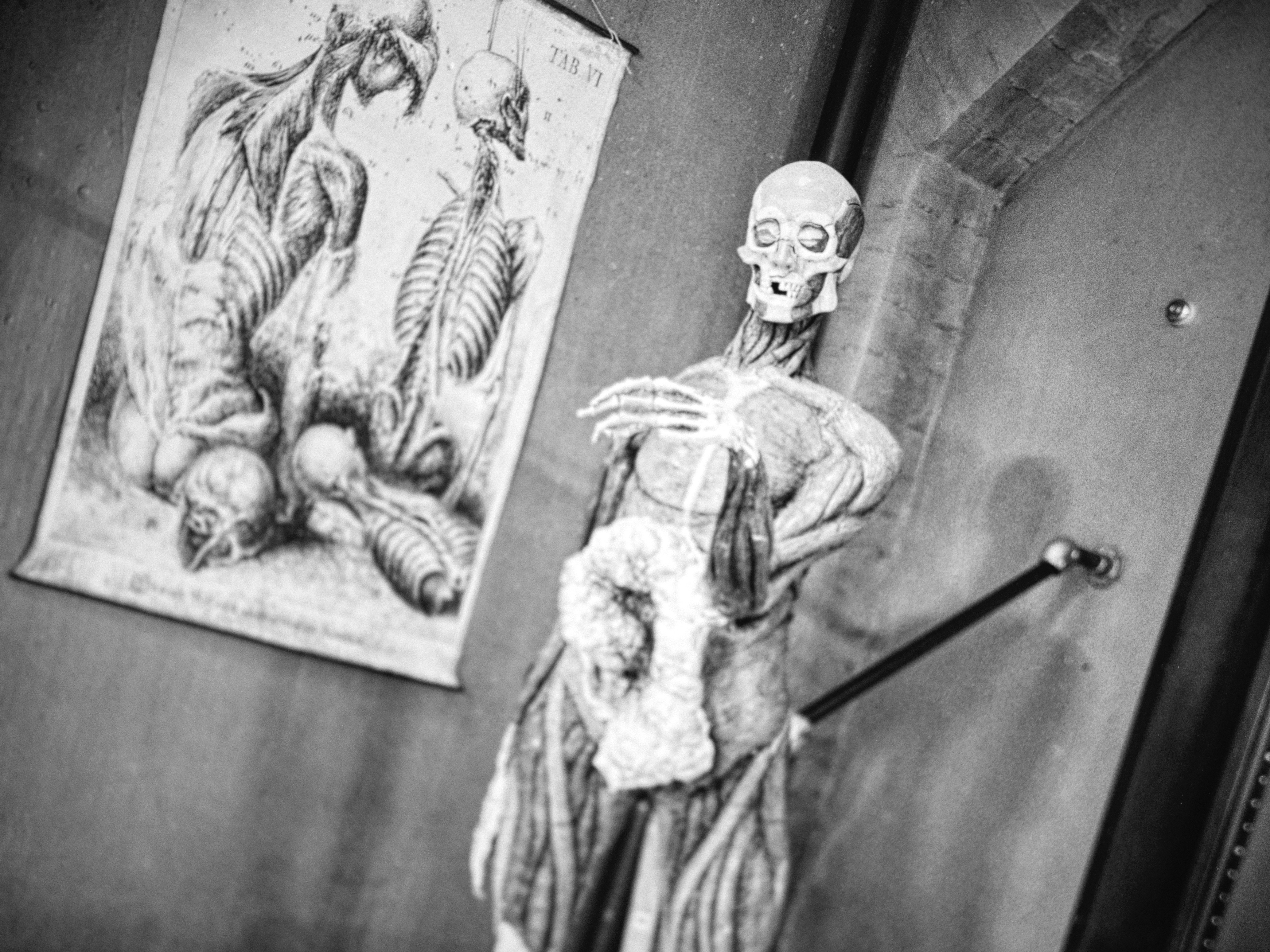 Fotofestiwal 2025 Łódź
