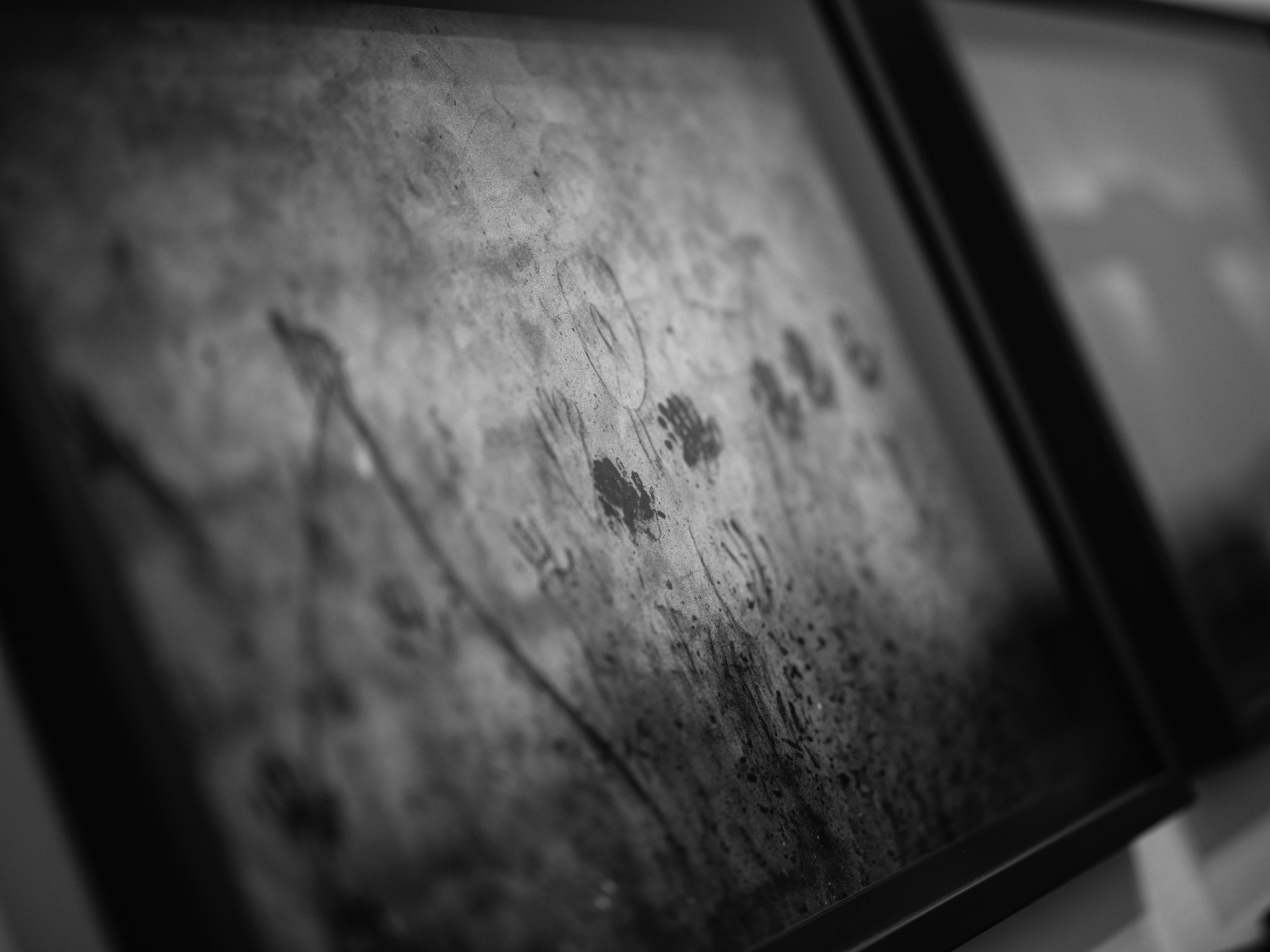 Fotofestiwal 2025 Łódź