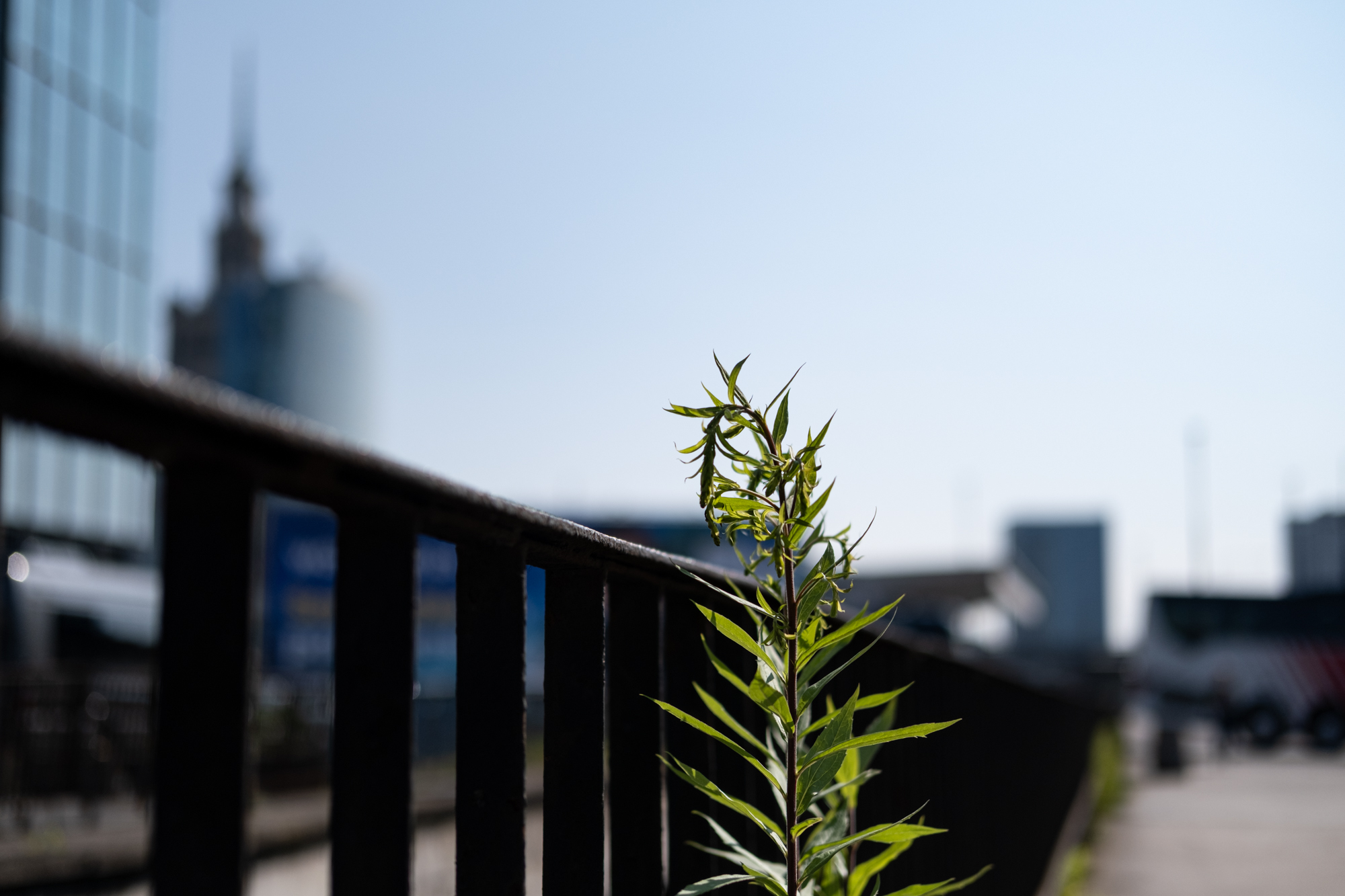 Fujifilm x pro4 1363