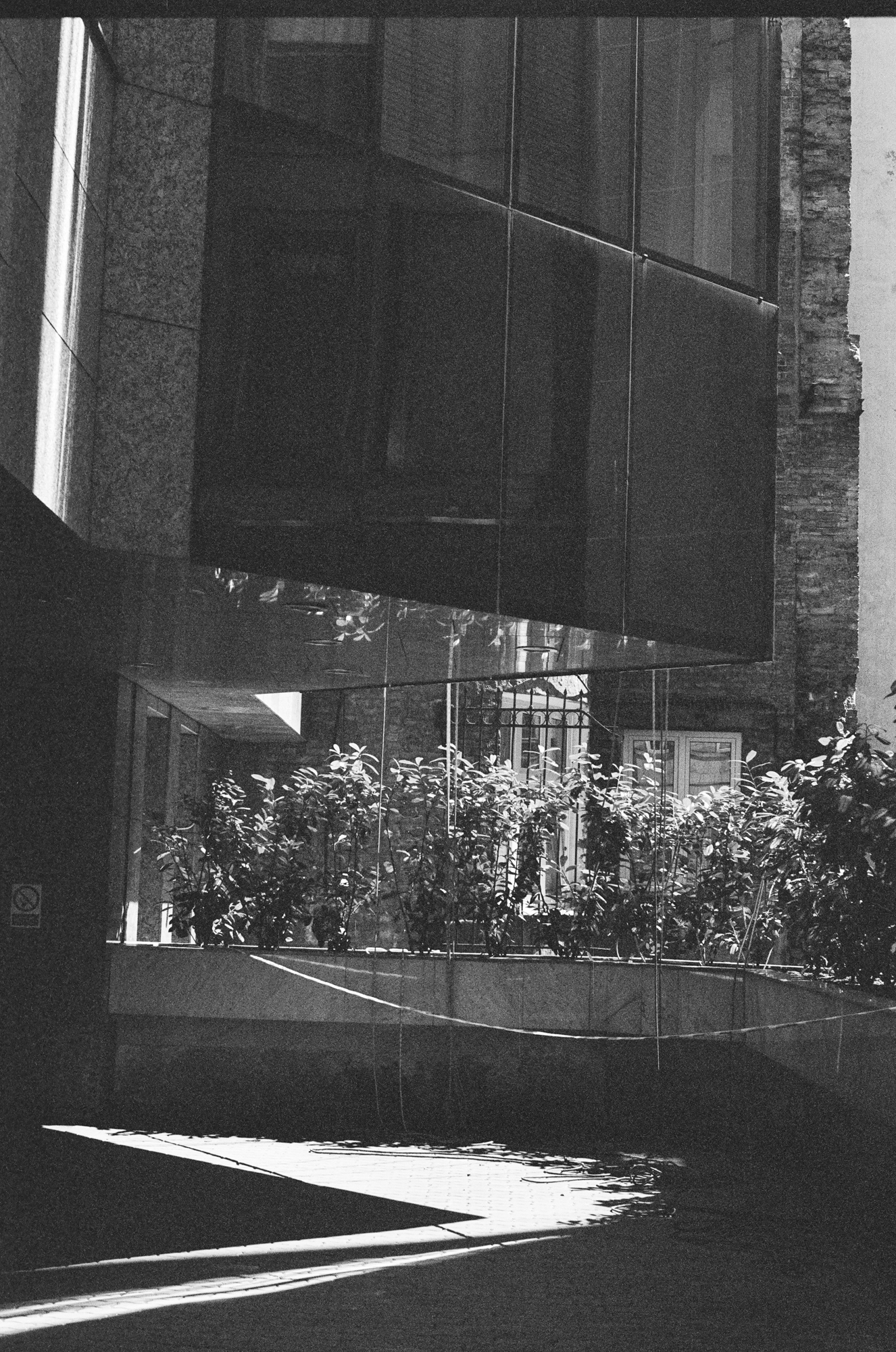 Canon 55mm f1.2 s.s.c. aspherical fd 2000px 000006900024