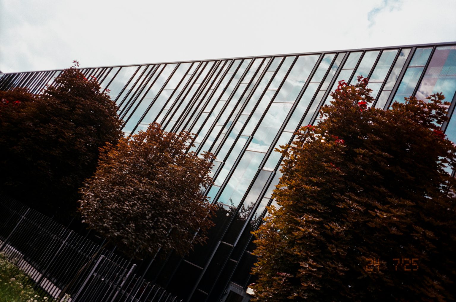 Galeria zdjęć przykładowych 2000px z Nikon 35 Ti