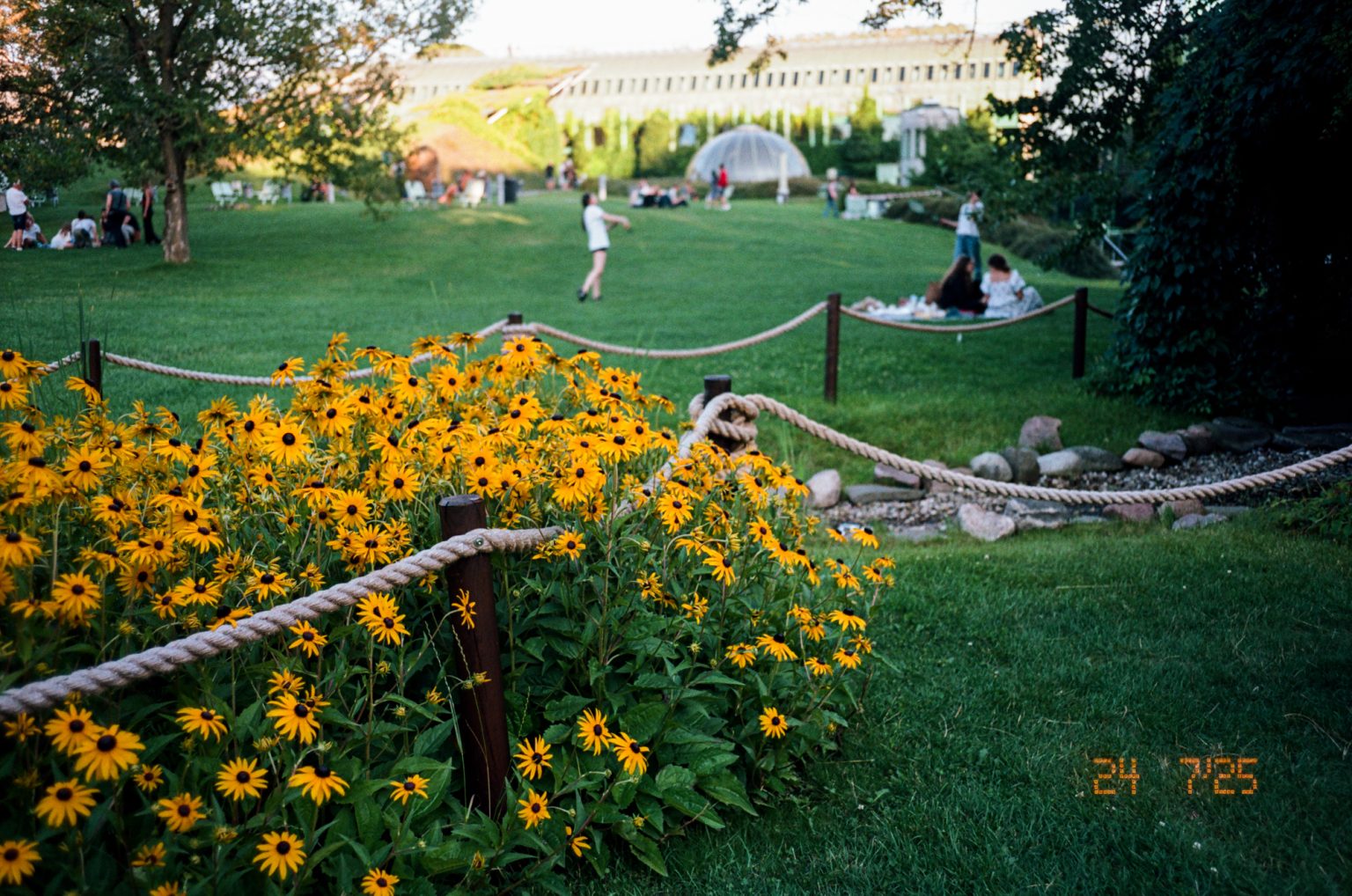 Galeria zdjęć przykładowych 2000px z Nikon 35 Ti