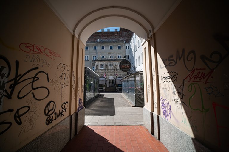 Samyang xp 14mm f2.4 nikon z6ii 0075 obrazek